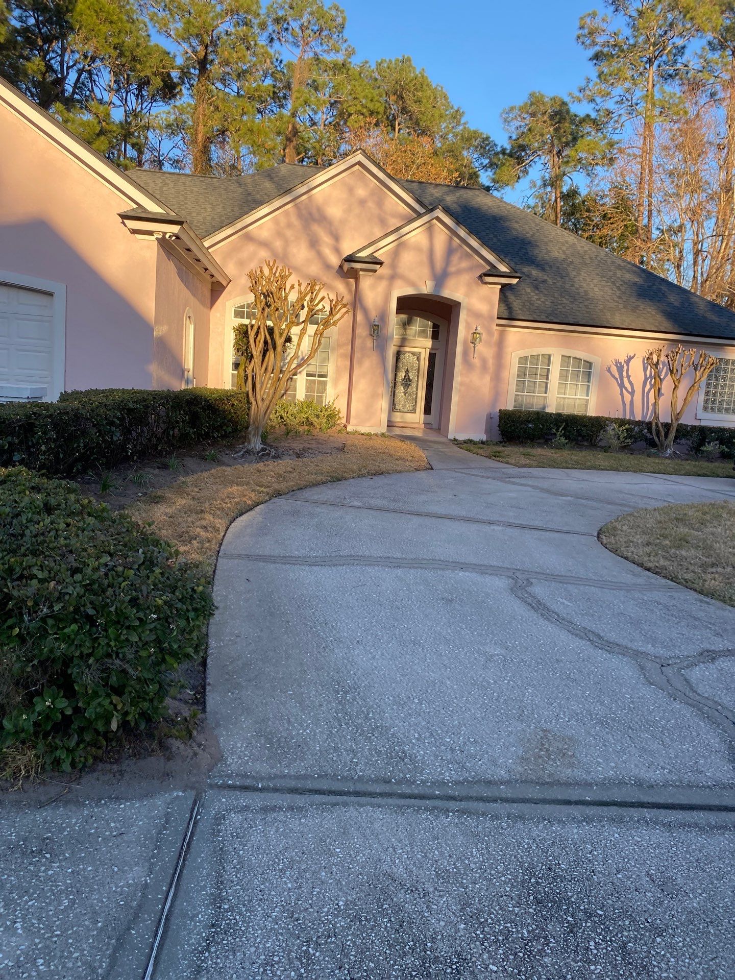 Deerwood Resident | Tree Removal & Clean-Up by ProGreen Services