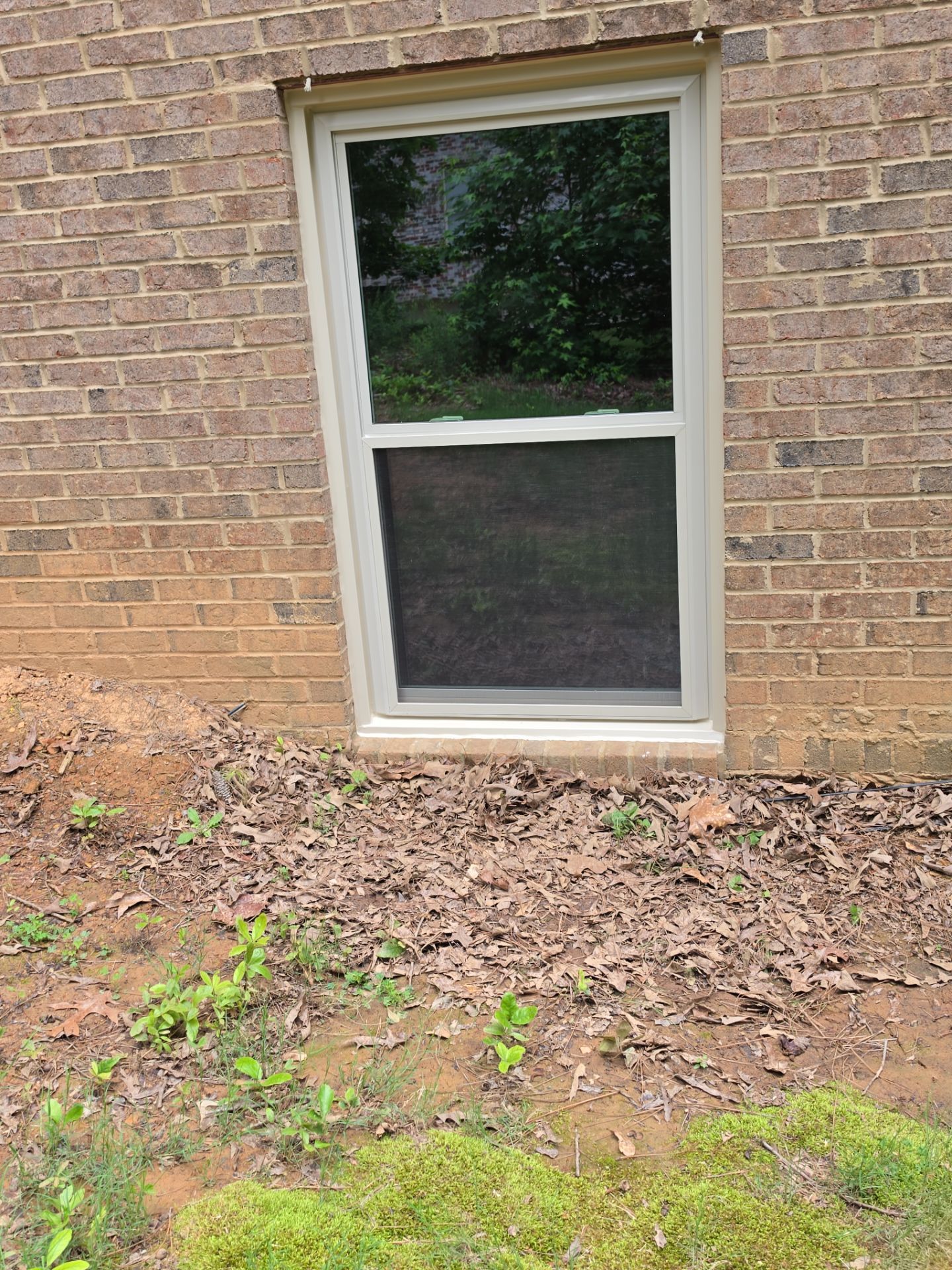 Bruner Project in Helena by The Window Source