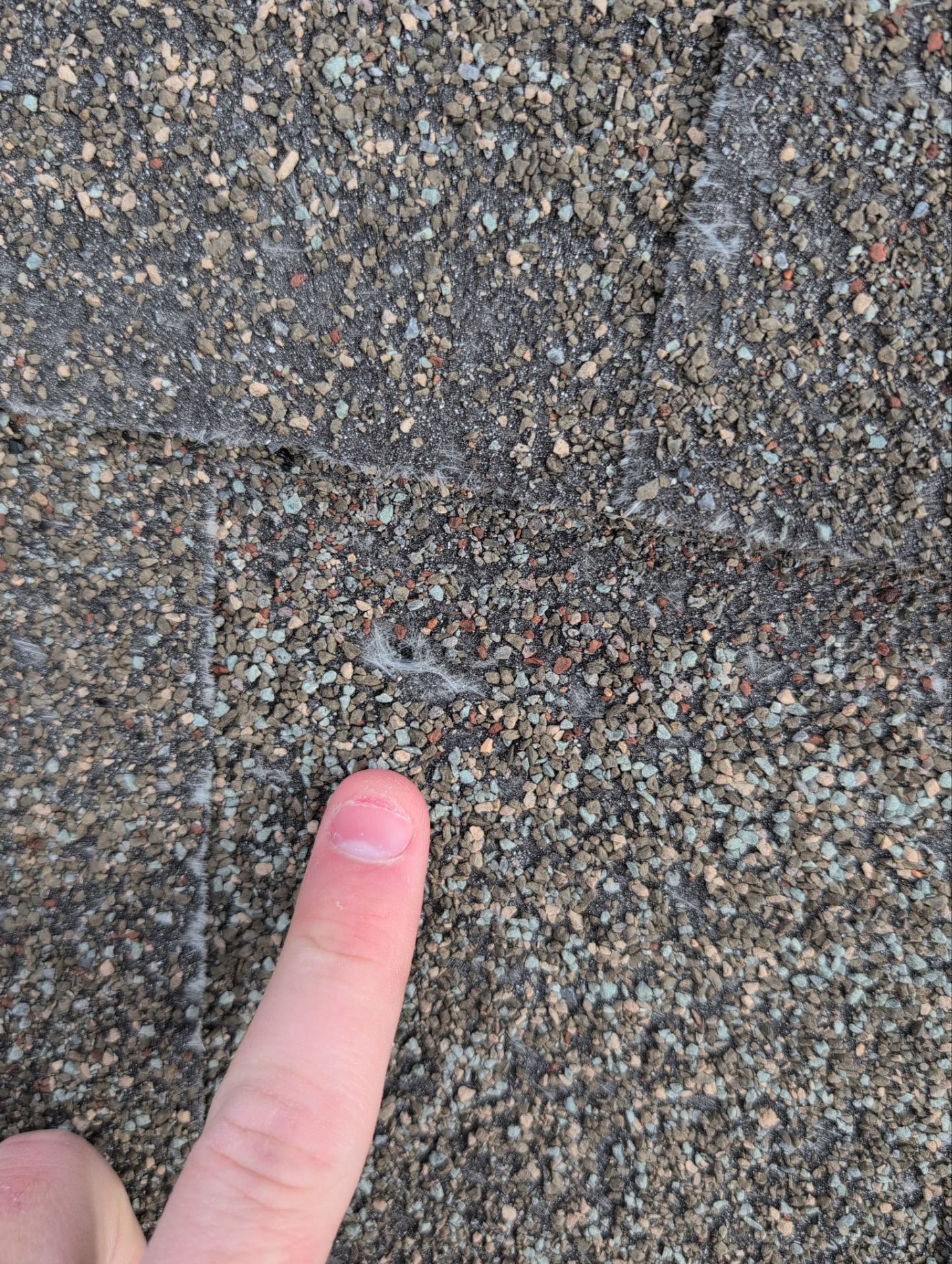 Roof Replacement & Seamless Gutters in Ozark by Table Rock Design + Build