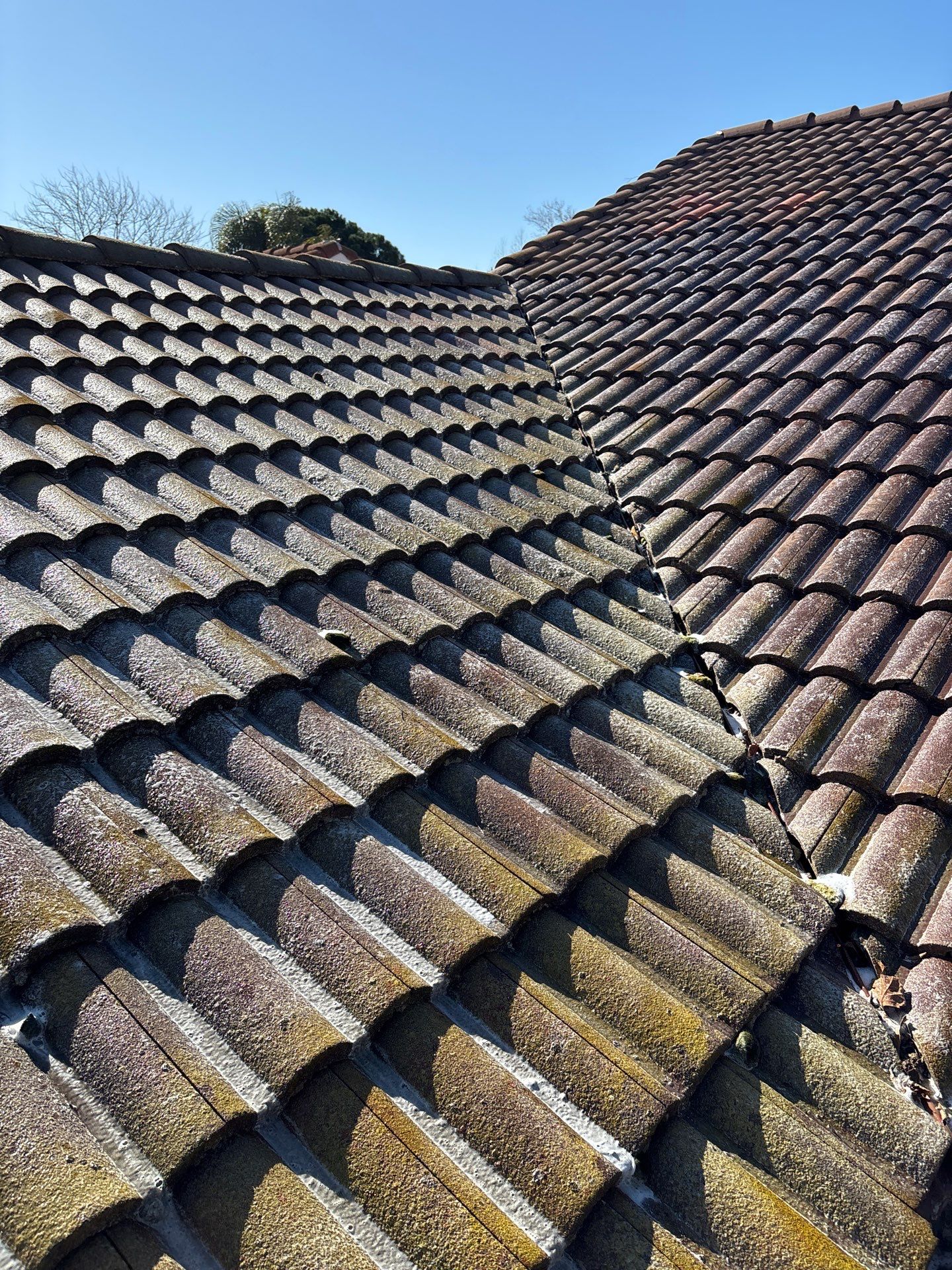 Soft Wash by Top Elevation