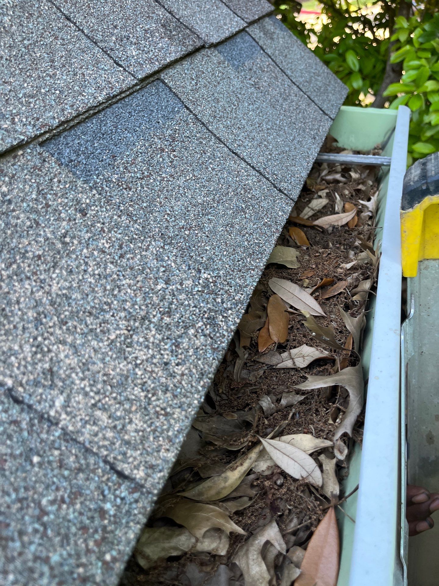 Commercial gutter cleaning Dallas & Fort Worth before photo with filled gutters
