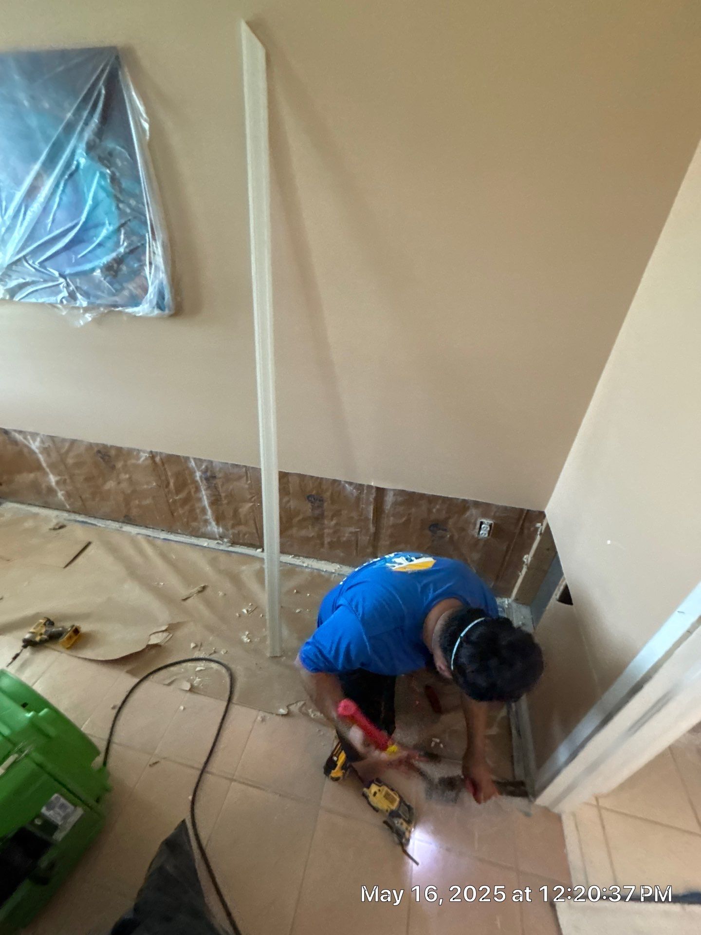 Mold Removal & Remediation  by Ampm Restoration Services 