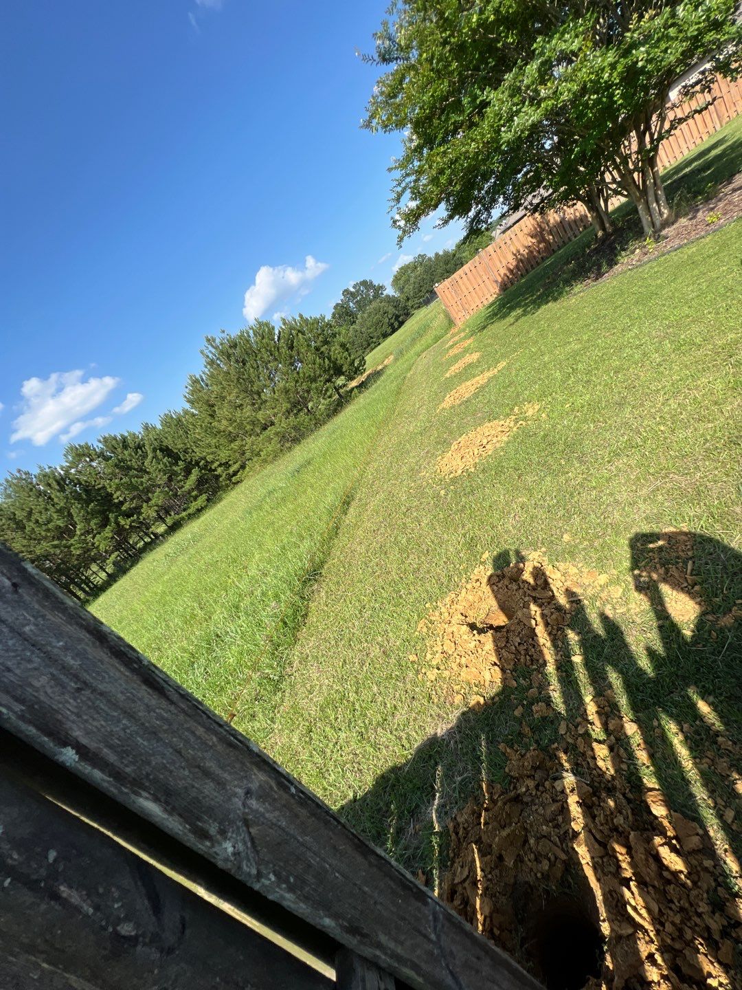 Lake View - Fence by Pillar and Pine