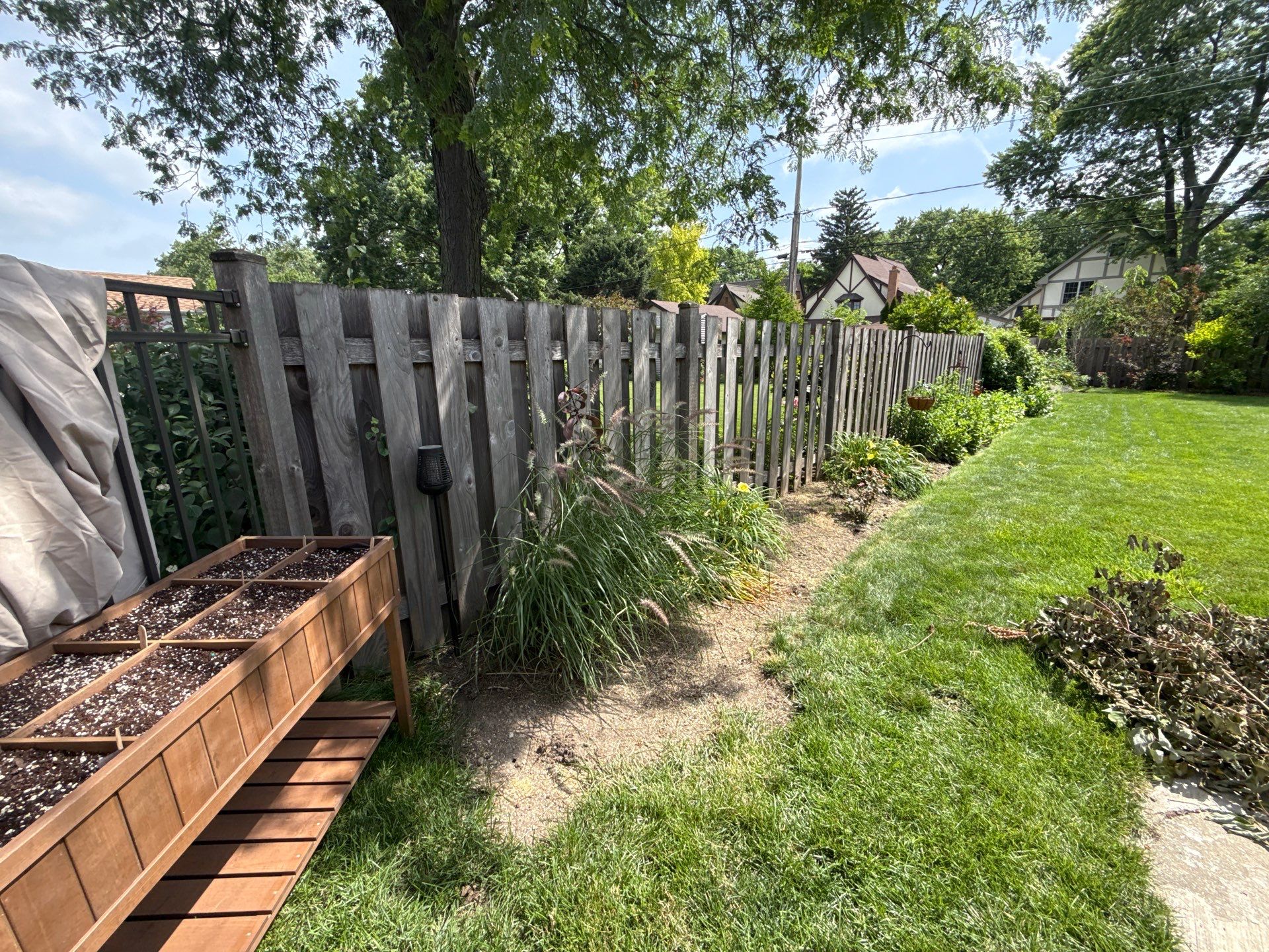 Cheris B. - Mount Prospect, IL by A&N 