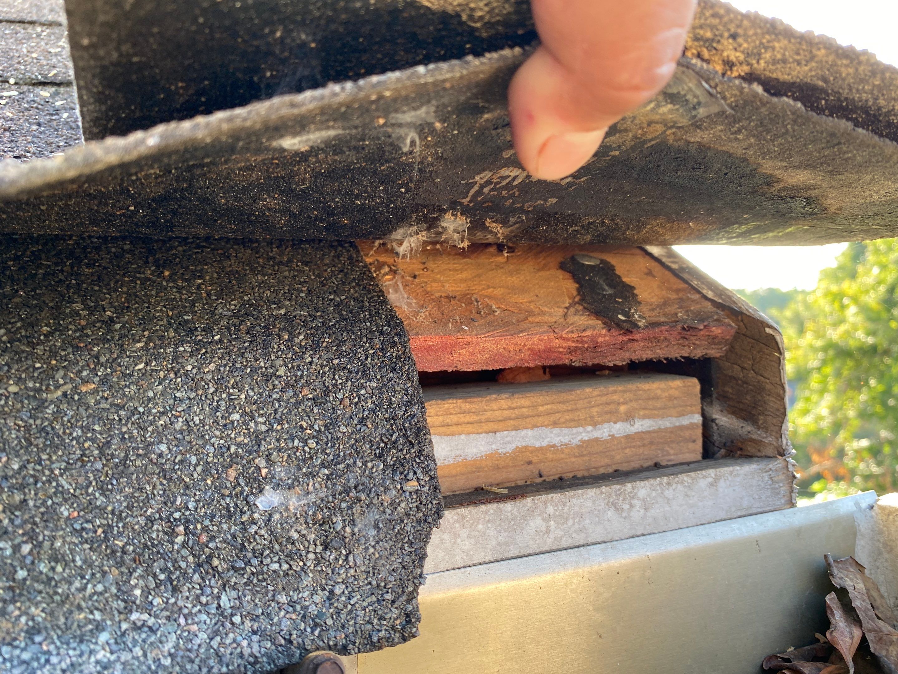 Hail Damage  by Deerfield Roofing LLC