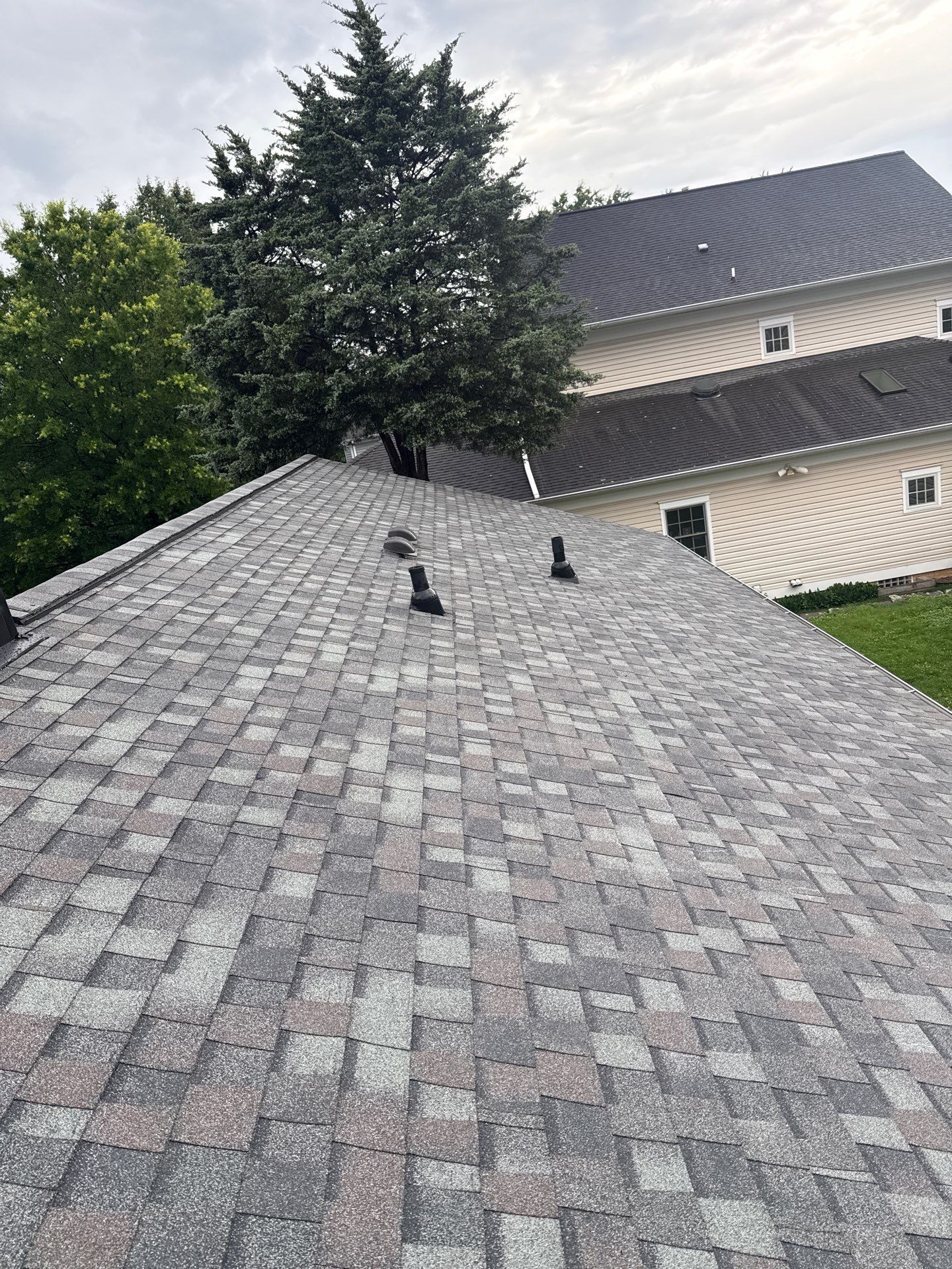 Falls Church: with CertainTeed Landmark Pro in Max Def Colonial Slate  by RM Banning, Inc.