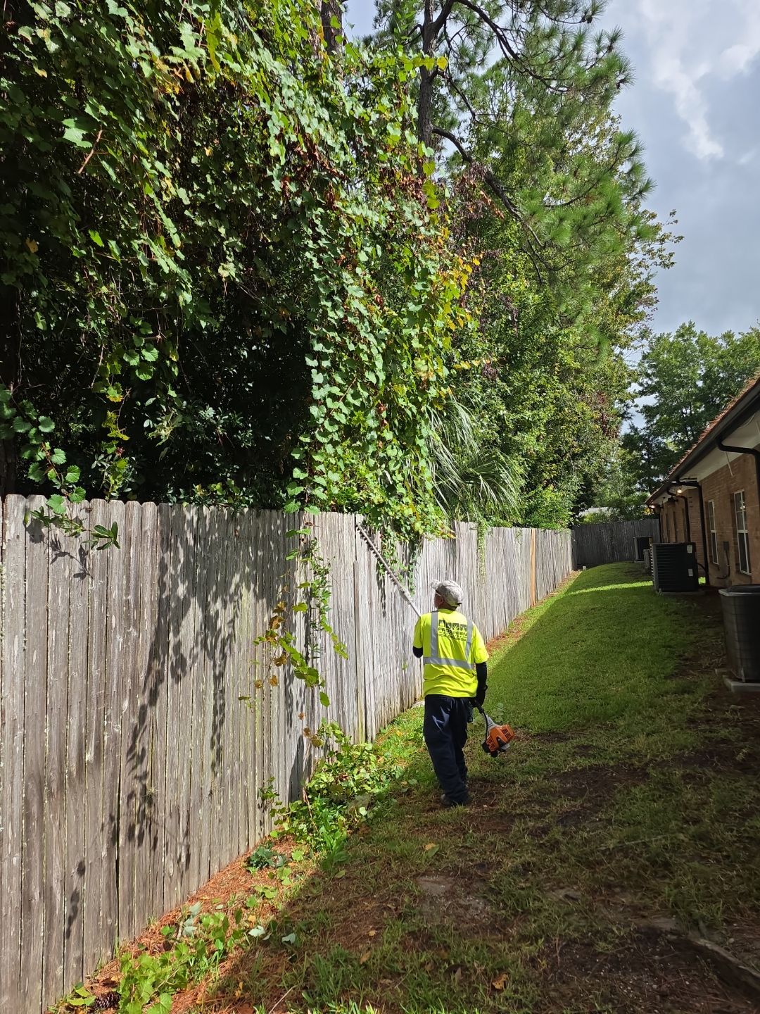 Commercial Property | Tree Removal & Trimming by ProGreen Services