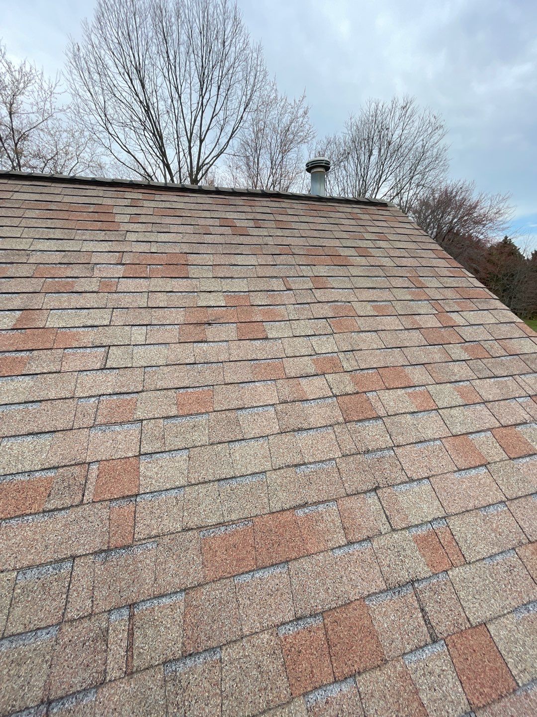 Springfield Certainteed Landmark Pro Designer Shingles by RM Banning, Inc.