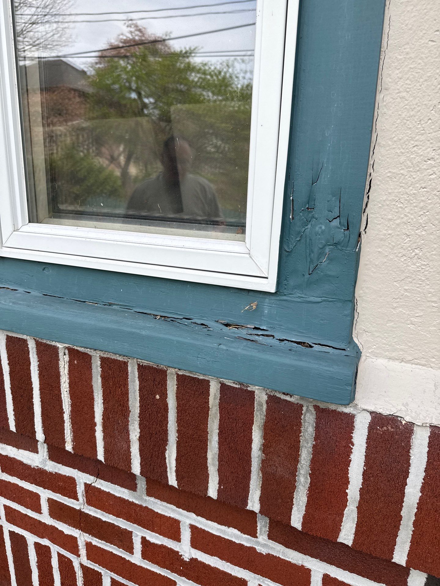 Vytex window by Burke Home Services