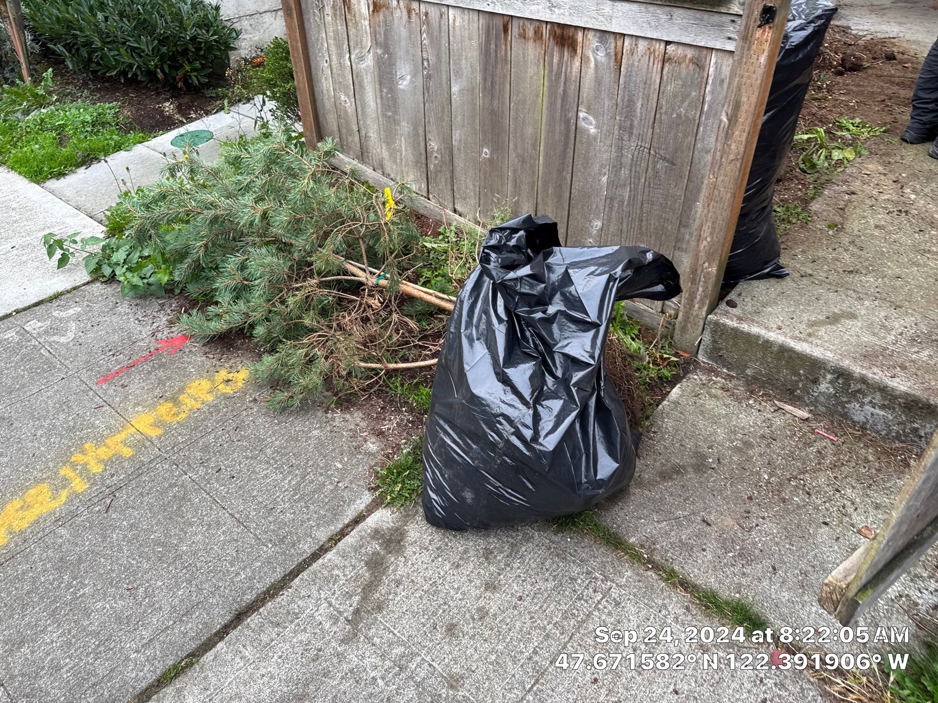 Paver Walkway & Turf Installation | Seattle  by Jireh Asphalt & Concrete Inc 