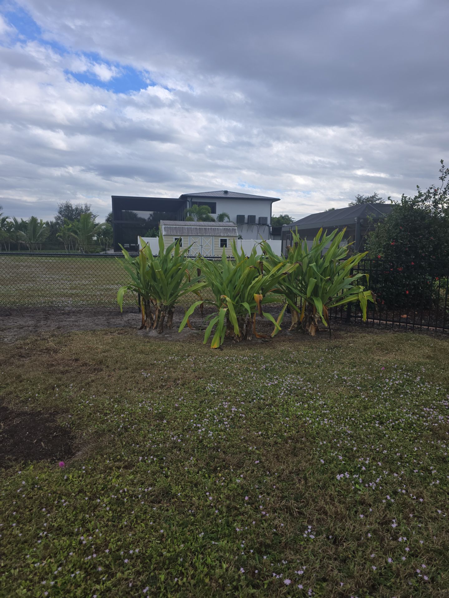 Chain Link and Aluminum Repair in Port Charlotte by True Fence LLC
