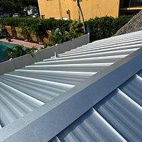 24ga 1" Nail-Strip Mill Finish by Total Roofing System The Metal Roof Experts