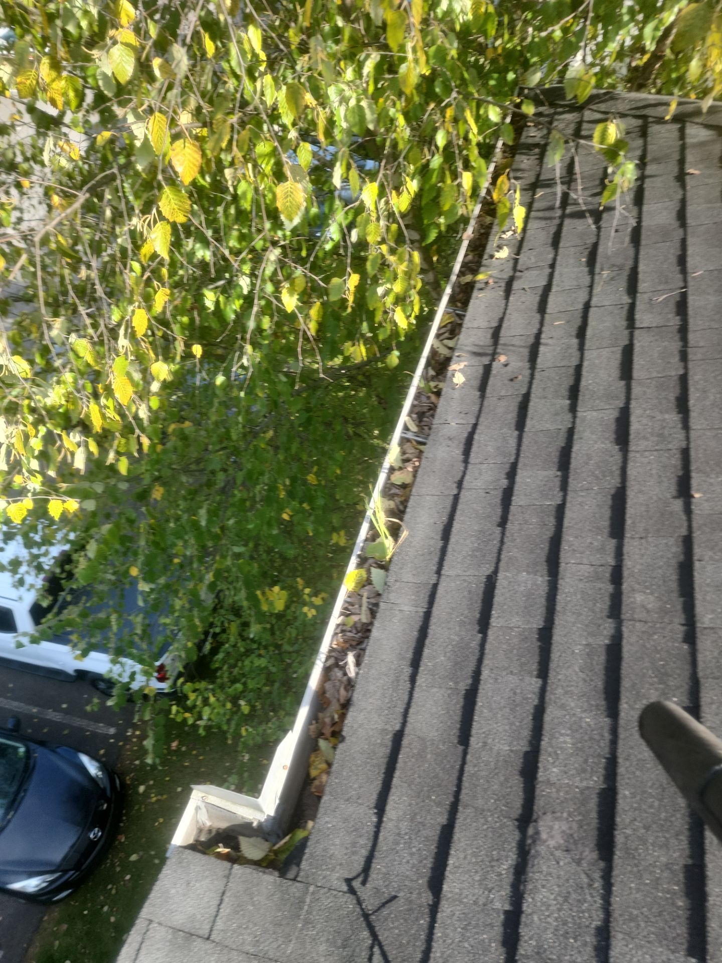 Commercial gutter cleaning Morgantown, WV before photo with filled gutters