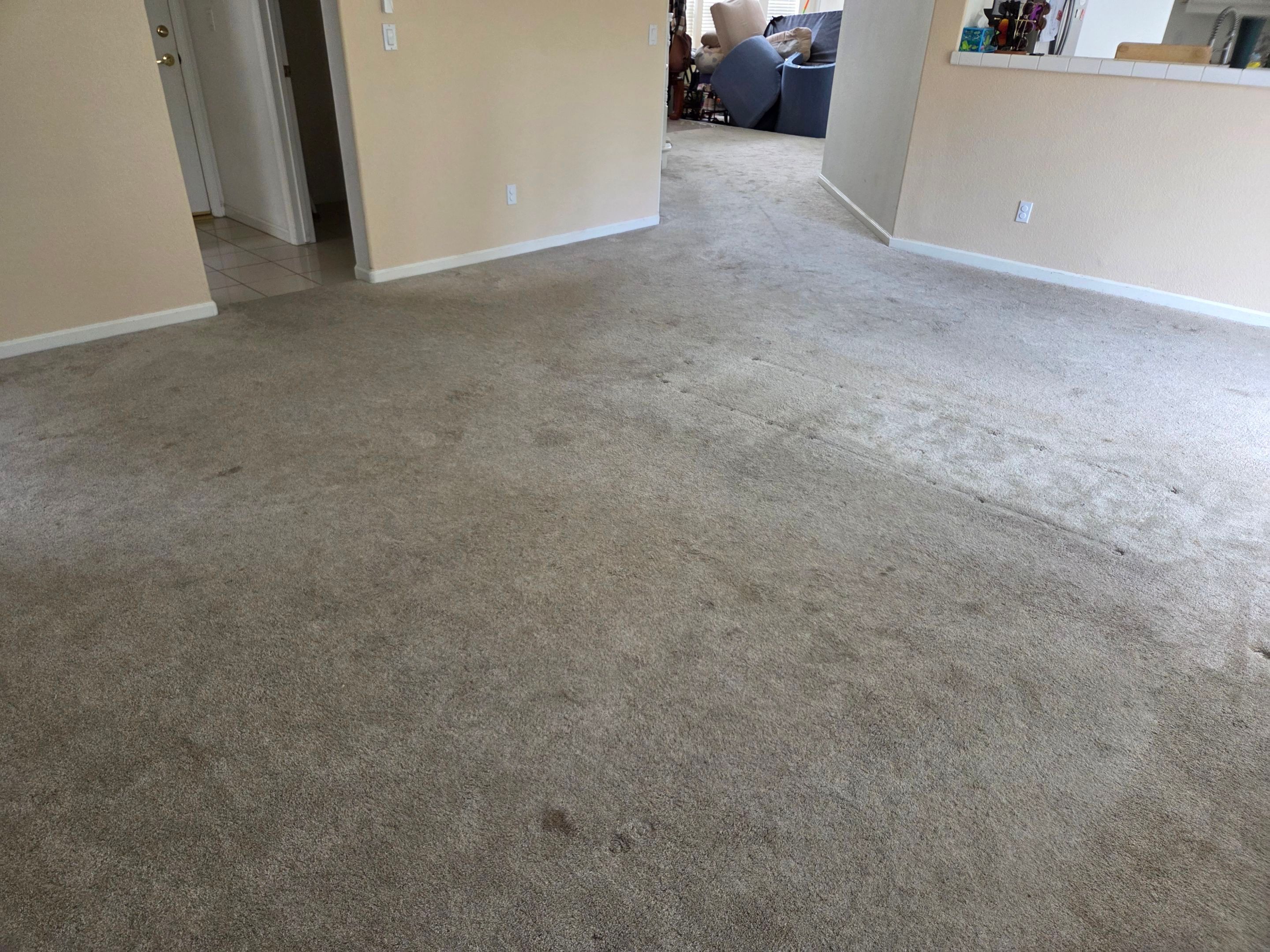 Carpet Cleaning and Pet Treatment by Ardent Carpet Restore LLC