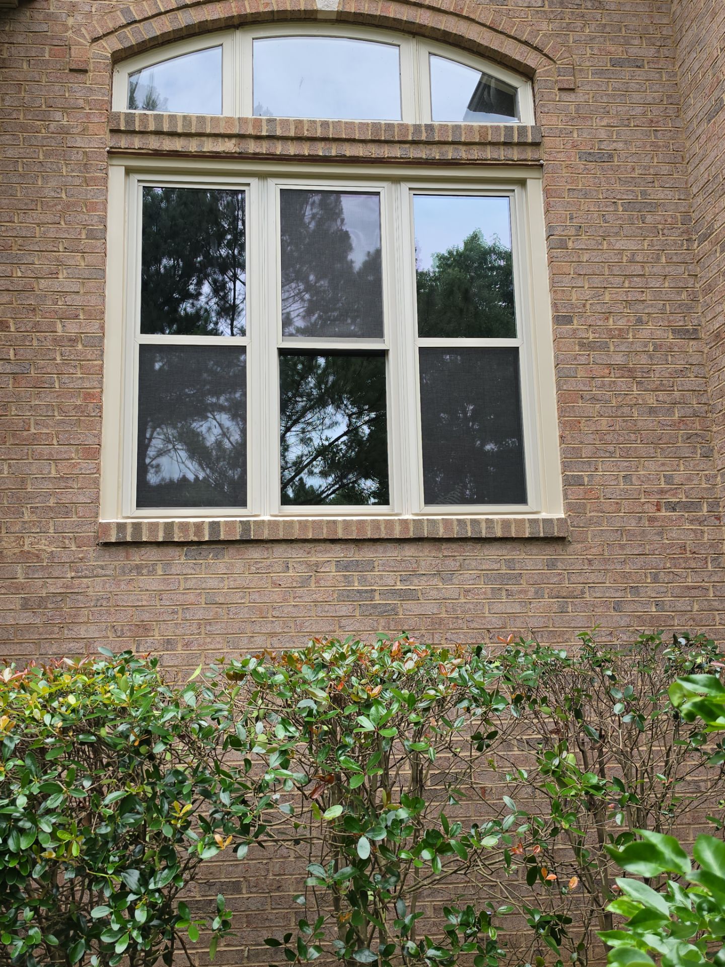Bruner Project in Helena by The Window Source