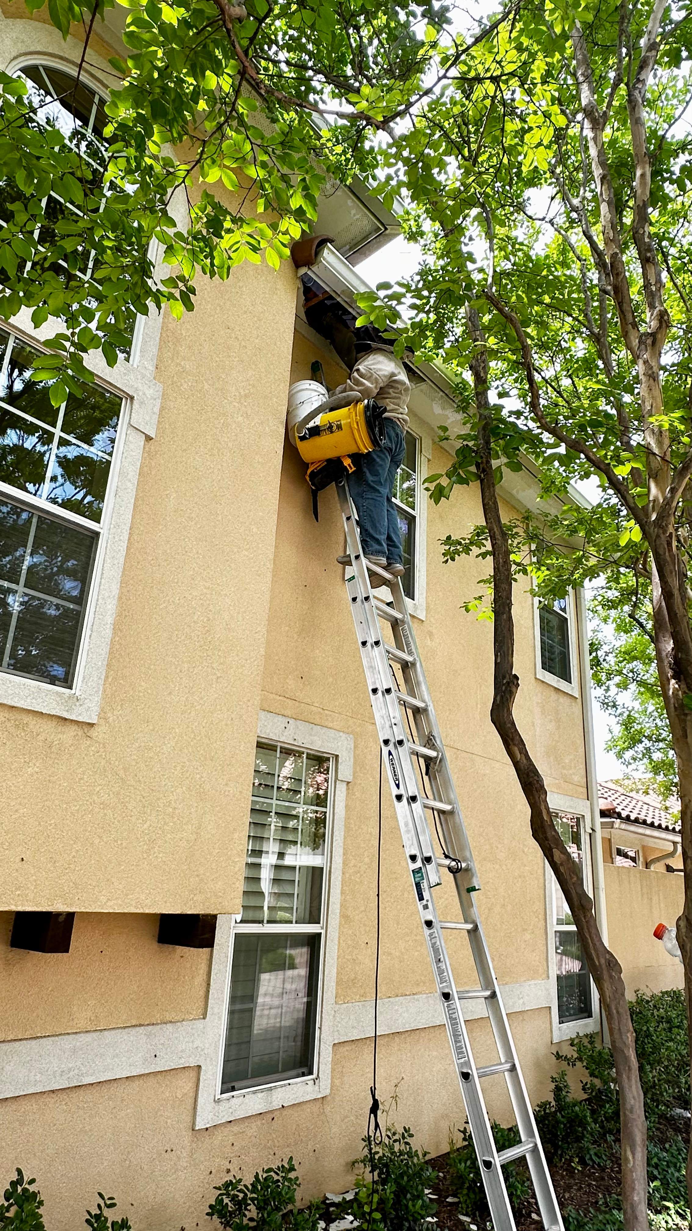 Beloved by Rockwall Honey Bee Company