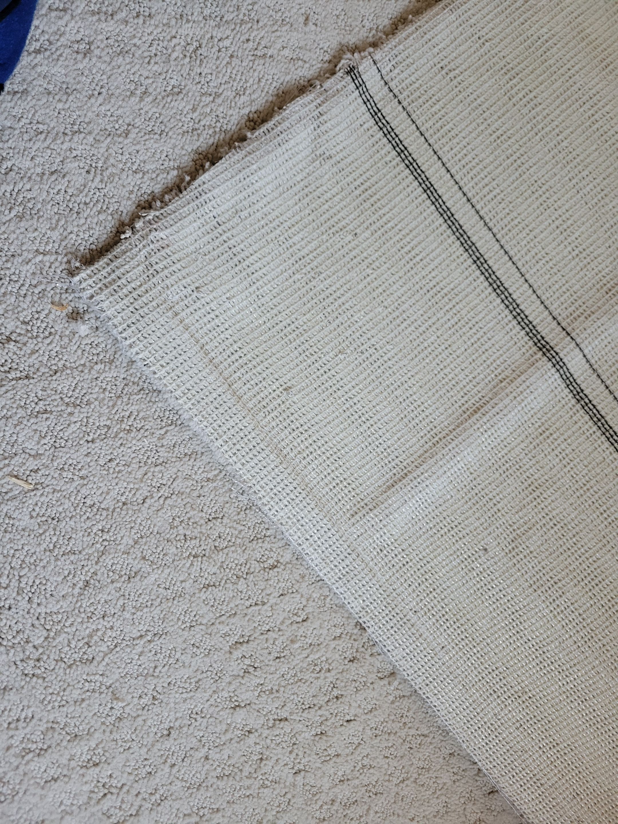 Carpet Re-stretching and Stain Removal by Ardent Carpet Restore LLC