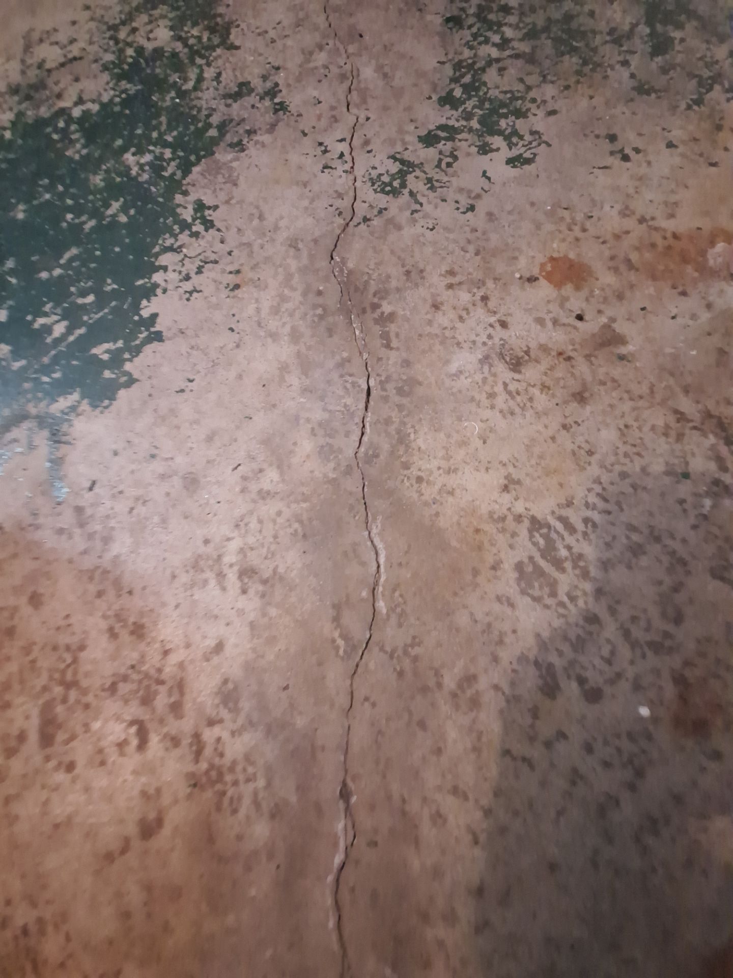 Durable & Decorative Epoxy Flake Floor Installation by Gordon Painting