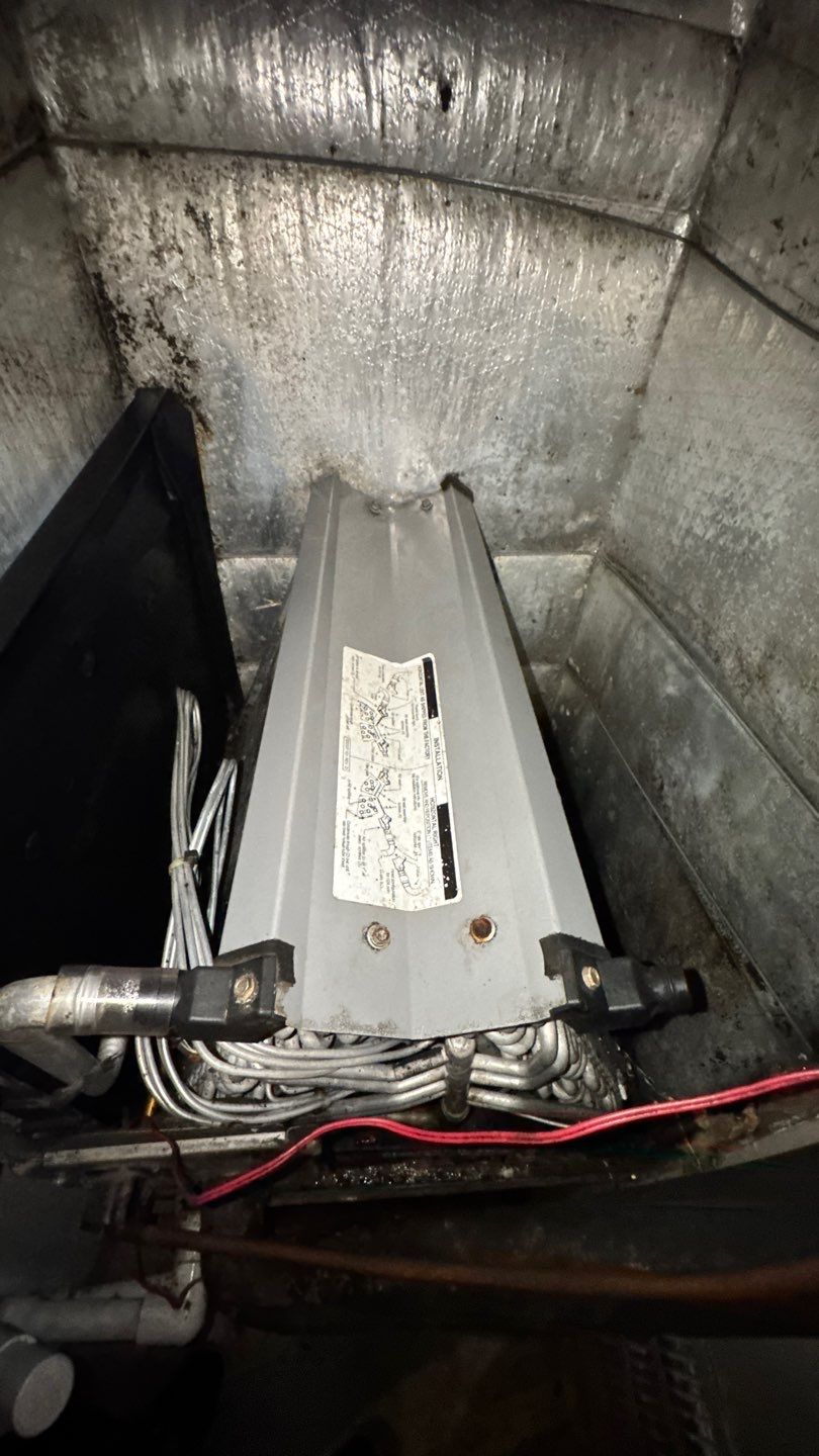Extremely Dirty Air Duct Cleaning in Fruitland Park by Hygienic Air, Inc