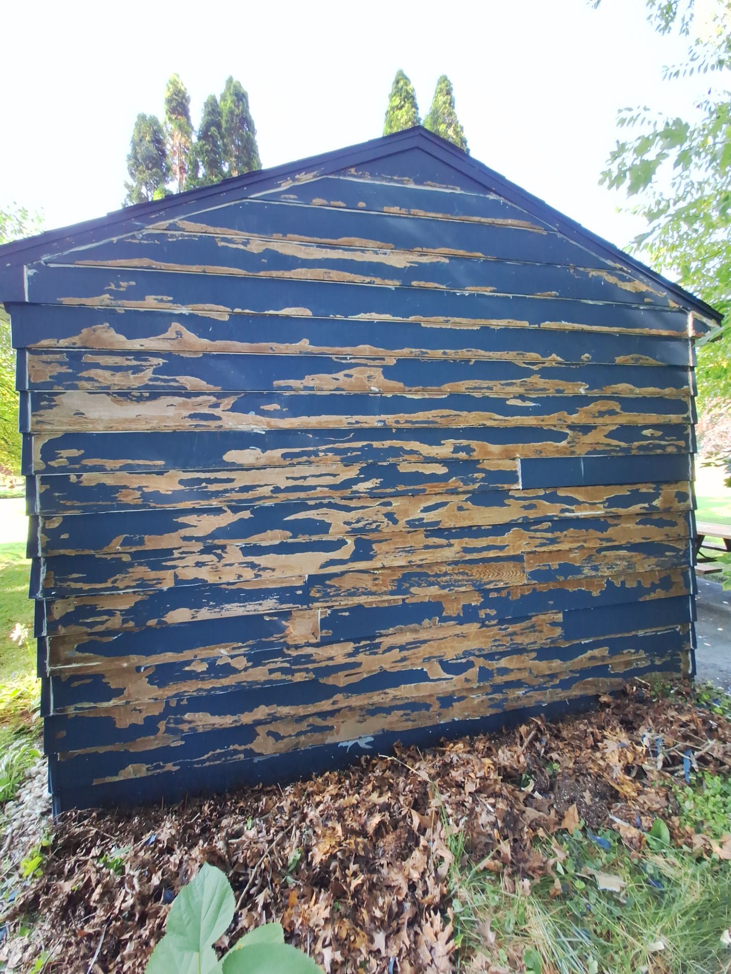 Deck and Shed Re-paint by Gordon Painting