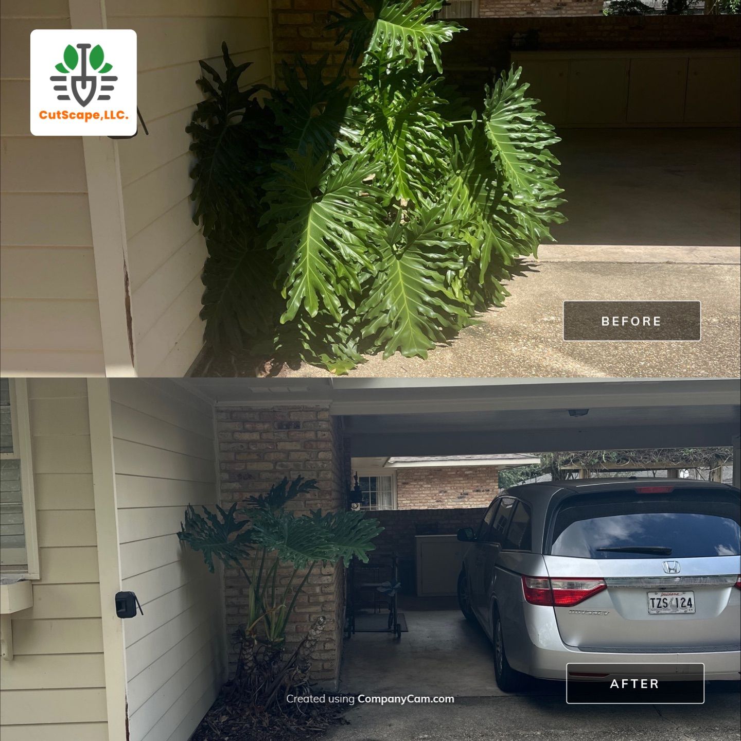 LANDSCAPE SERVICES: HERBICIDE / CLEAN OUT / TRIM / BRUSH DEBRIS REMOVAL / PROPERTY CLEAN UP by CutScape, LLC.