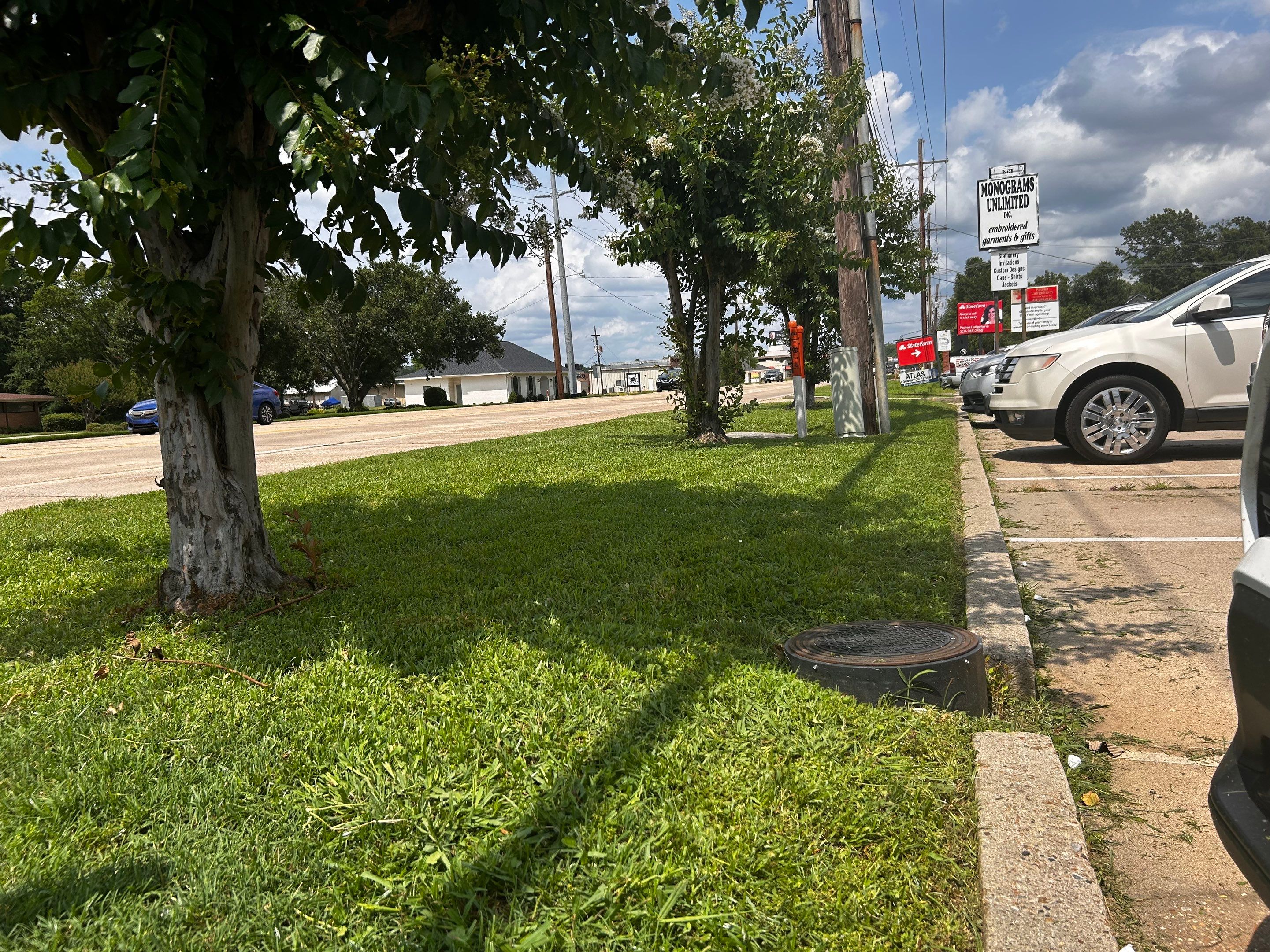 Weekly Commercial Mowing  by College Bros Outdoor services