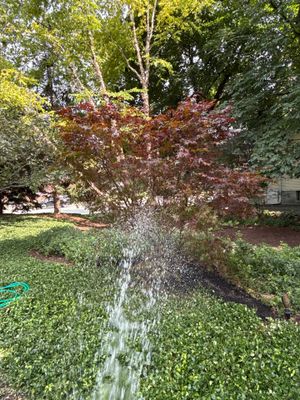 Scott M. - Arlington Heights, IL