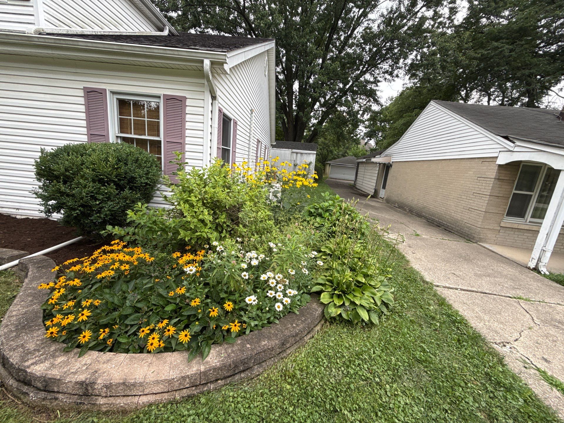 Steven L. - Park Ridge, IL by A&N