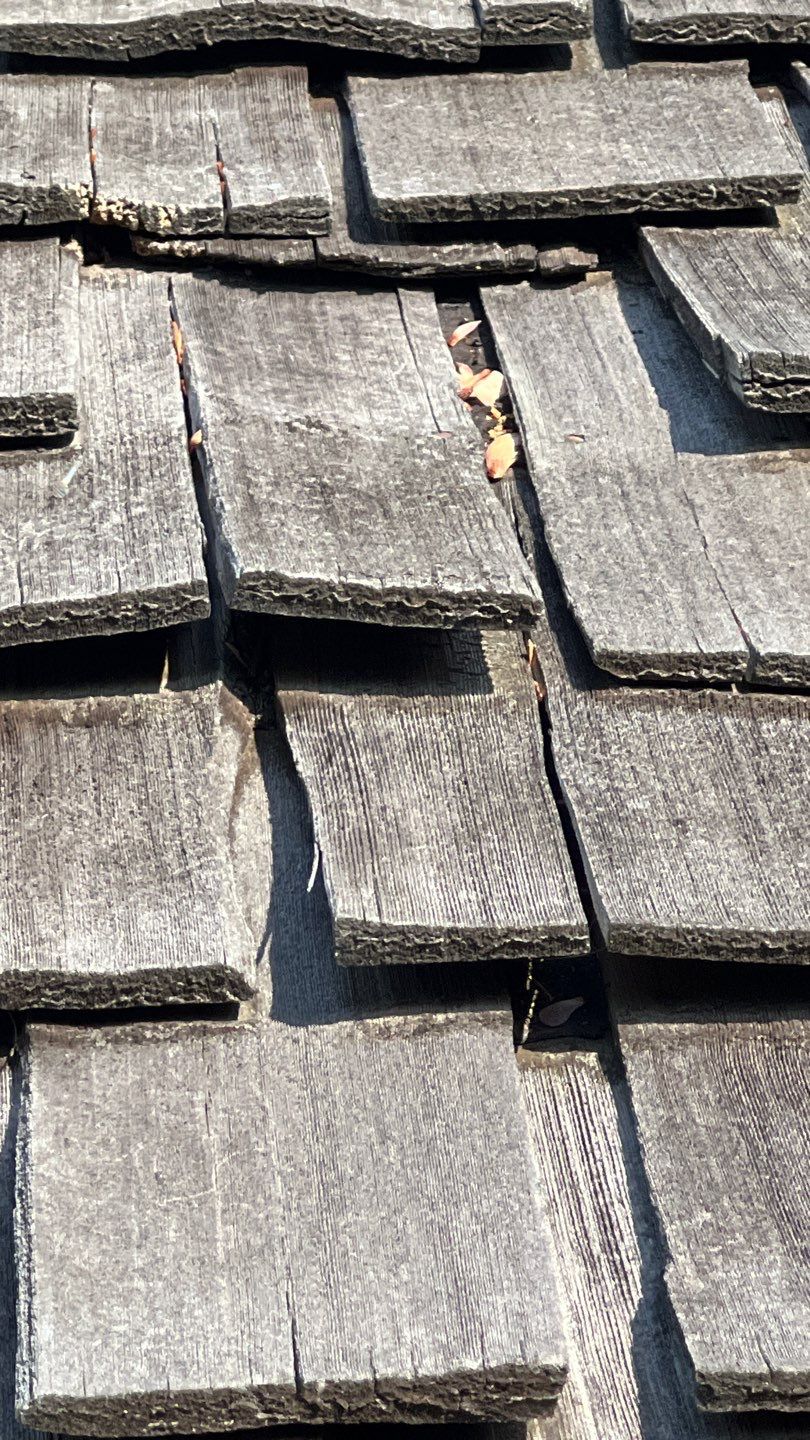 Falls Church - 18" Perfection CCA Shakes in Western Red Cedar by RM Banning, Inc.