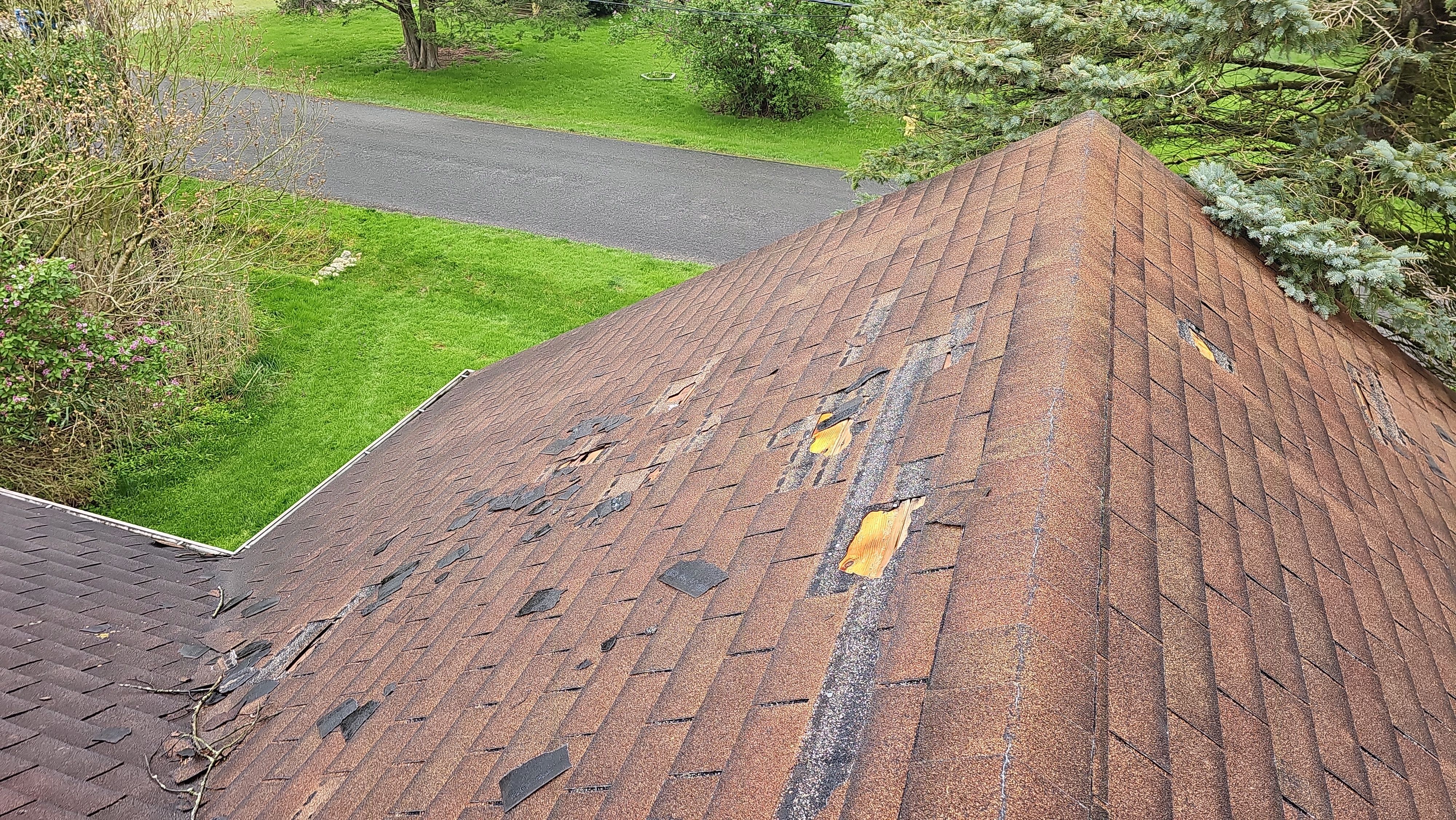 Atlas Pinnacle, Color, Morning Harvest, Drip Edge, Color, Royal Brown by Eagle Eye Roofing