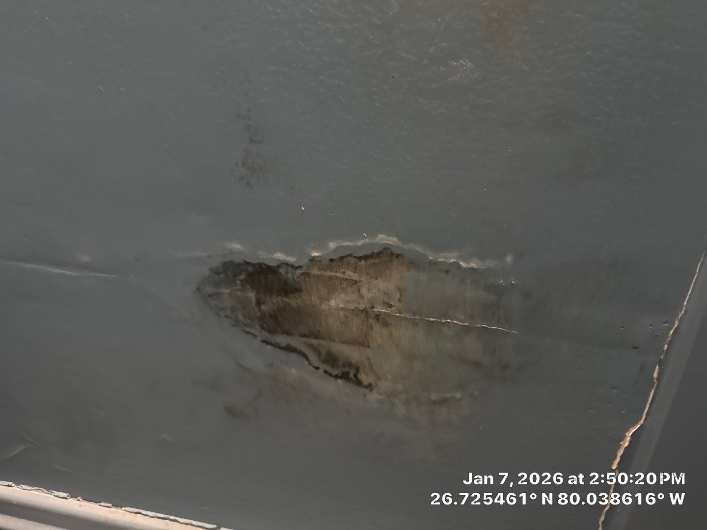 mold test by SuperClean 