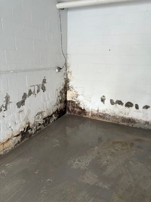 Waterproofing in Front Royal