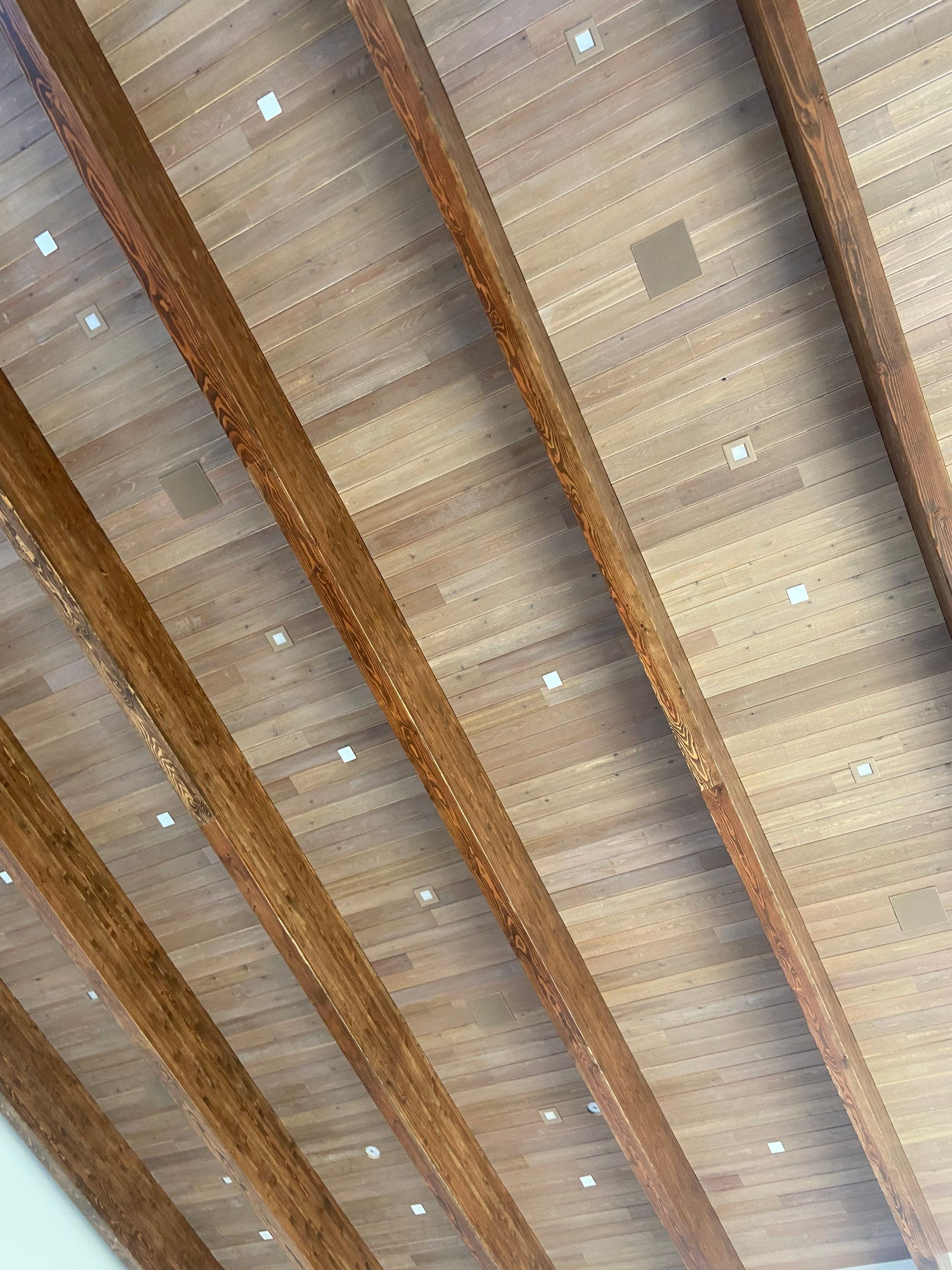 CALICO BASIN #1 by Level Builders