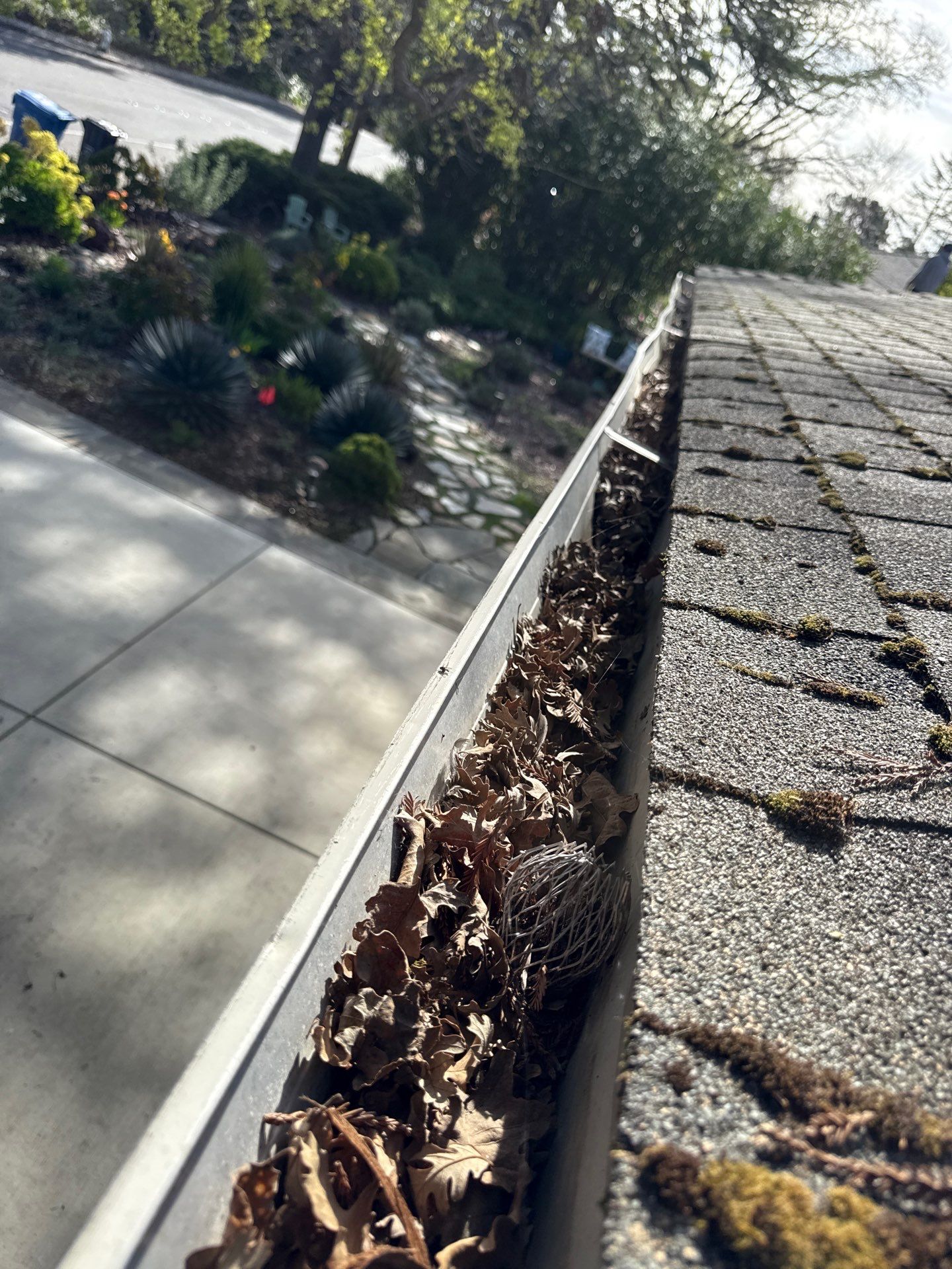 Soft Wash by Top Elevation