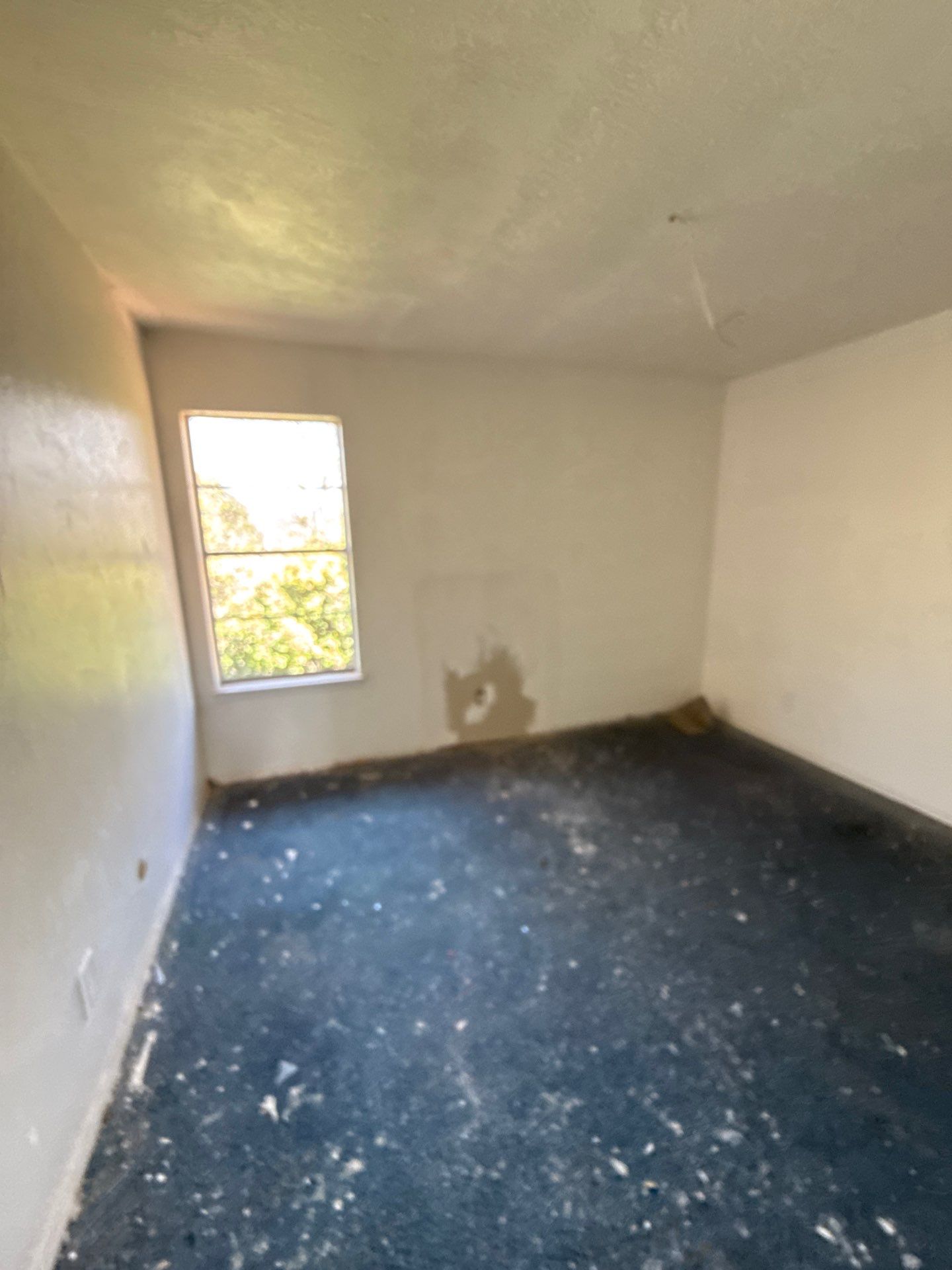 Glen rose by American Builders 