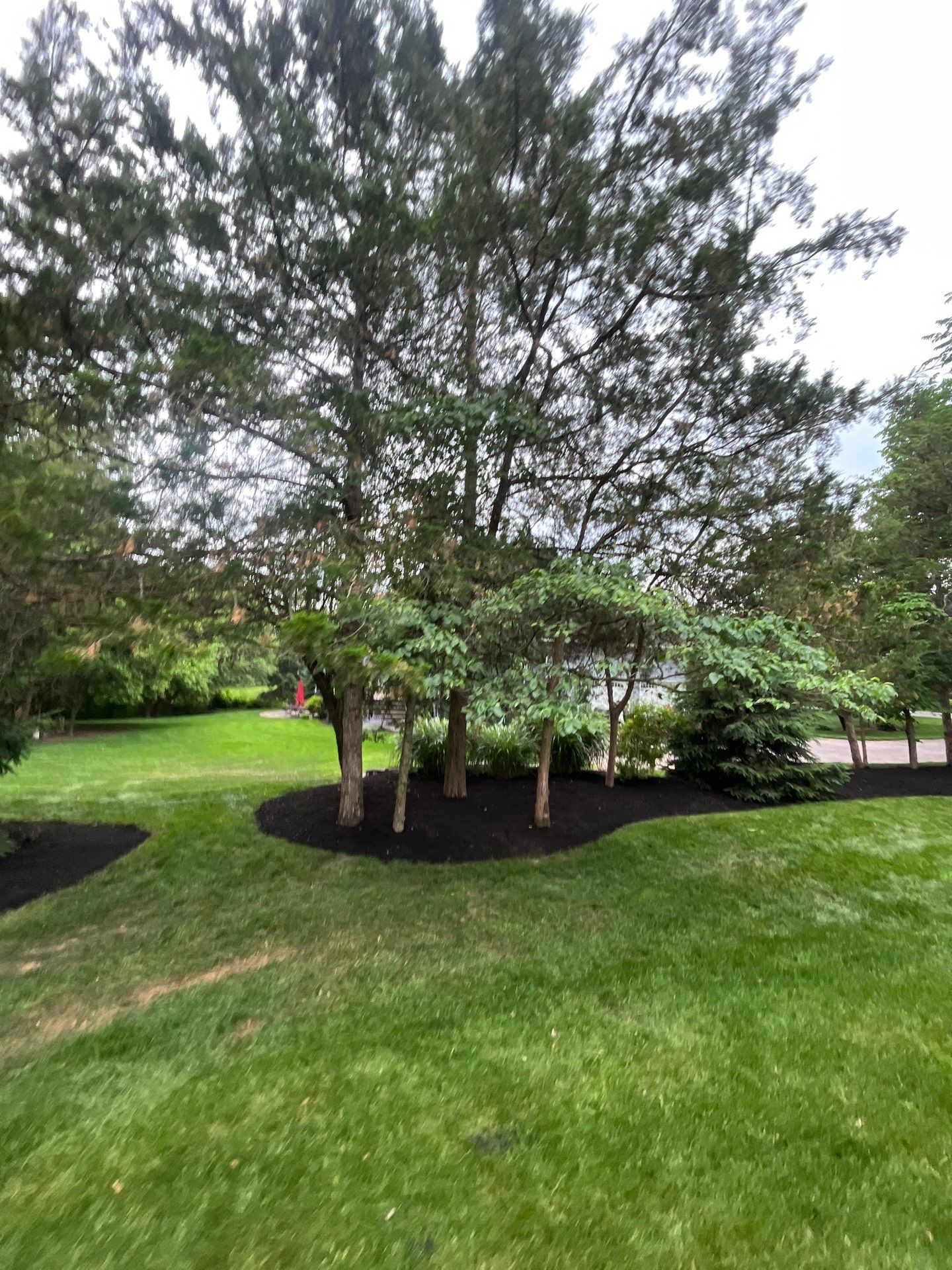 Comprehensive Shrub and Ornamental Bed Maintenance in Basking Ridge by Ants Plants