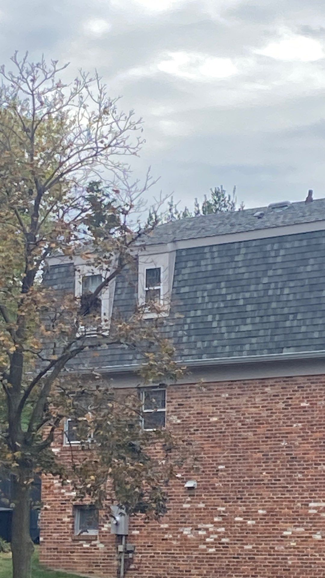 Arlington: Residential Roof Replacement with CertainTeed Landmark Pro in Max Def Georgetown Gray by RM Banning, Inc.