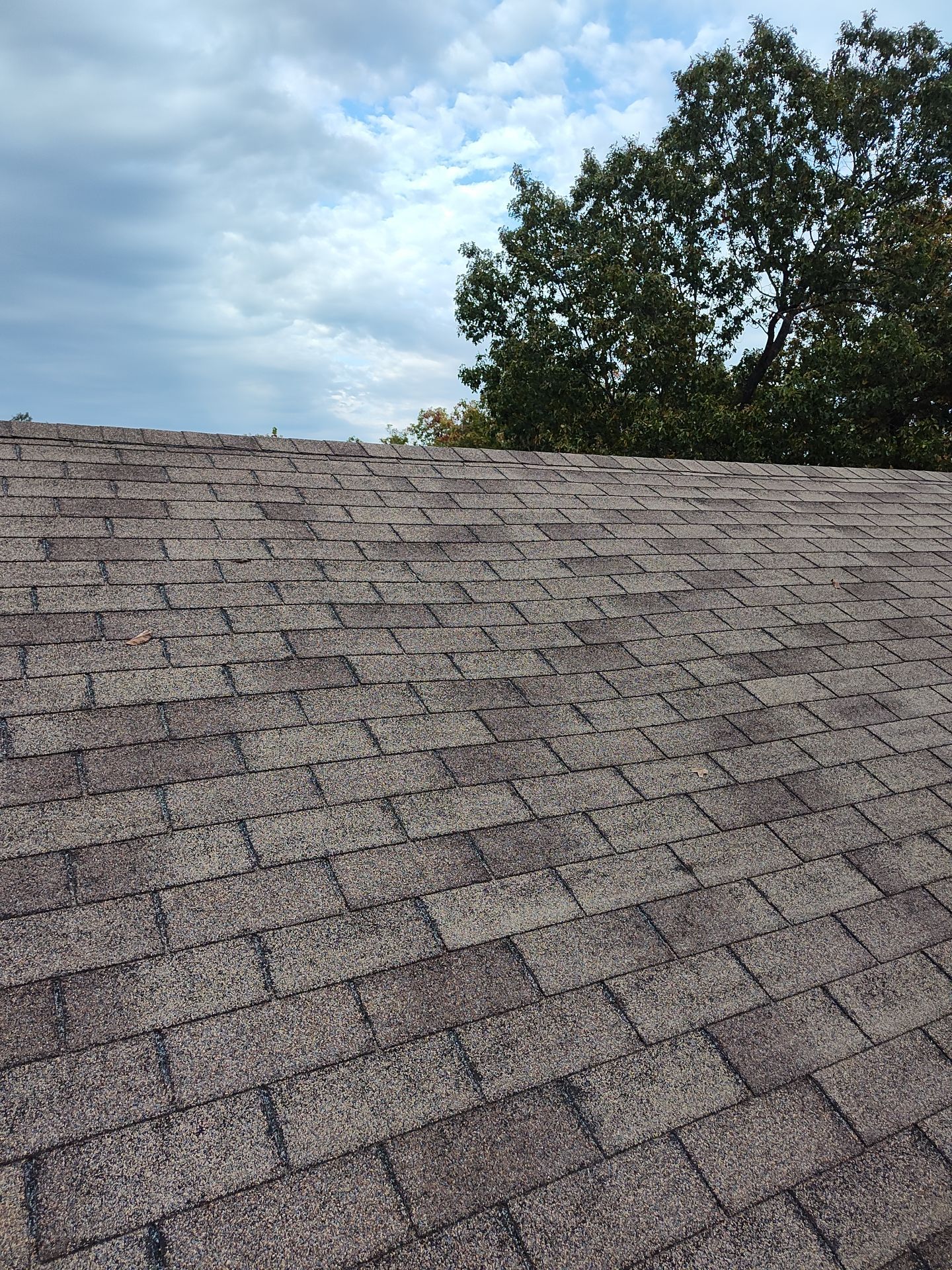 Residential Roofing Install - Atlas Pinnacle Pristine W/ Scotchguard - Color Harvest Morning  by Titan Commercial & Residential Roofing 