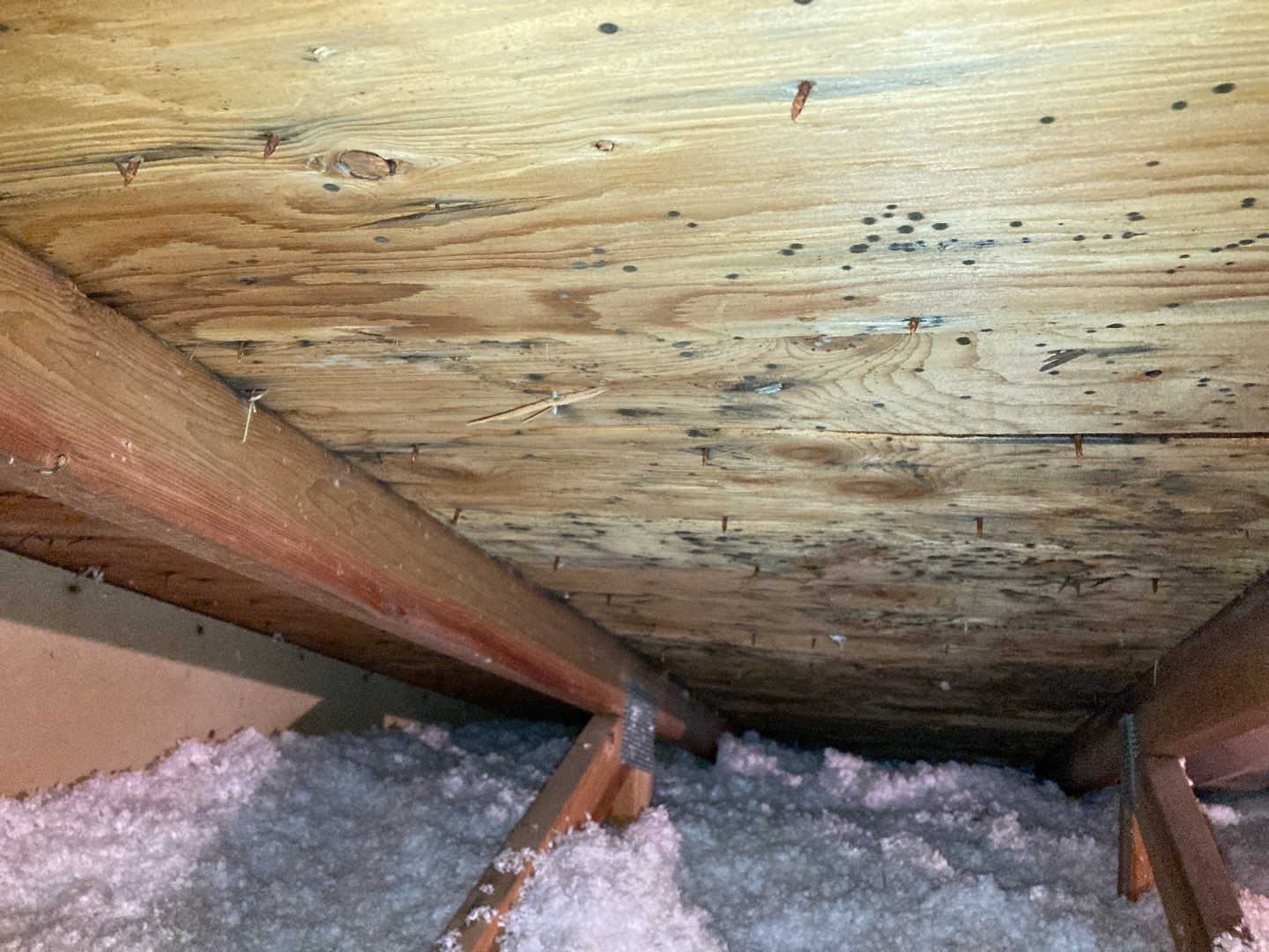 Mold Remediation in Attic by Accountable Home Services
