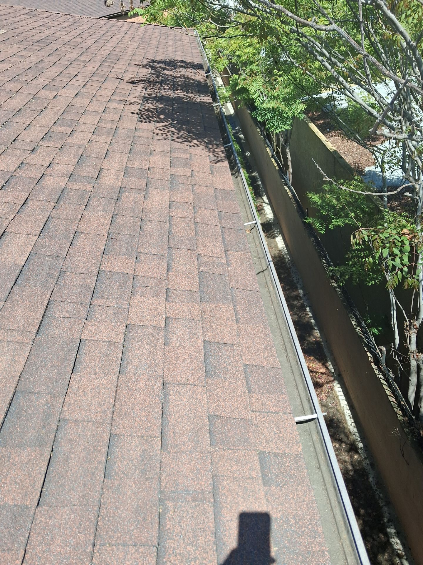 HOA gutter cleaning before photo