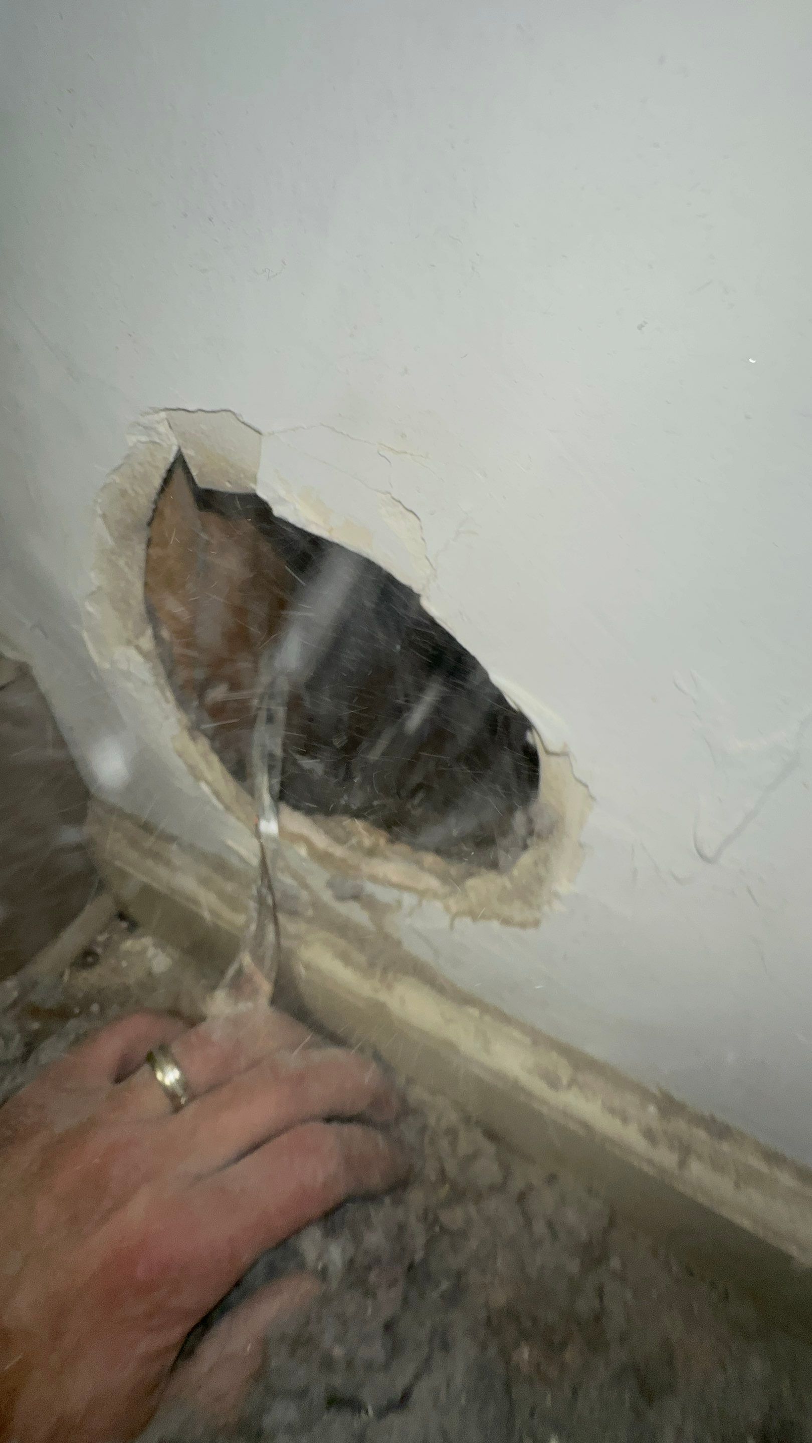 Dryer Vent Replacement by TMS Services