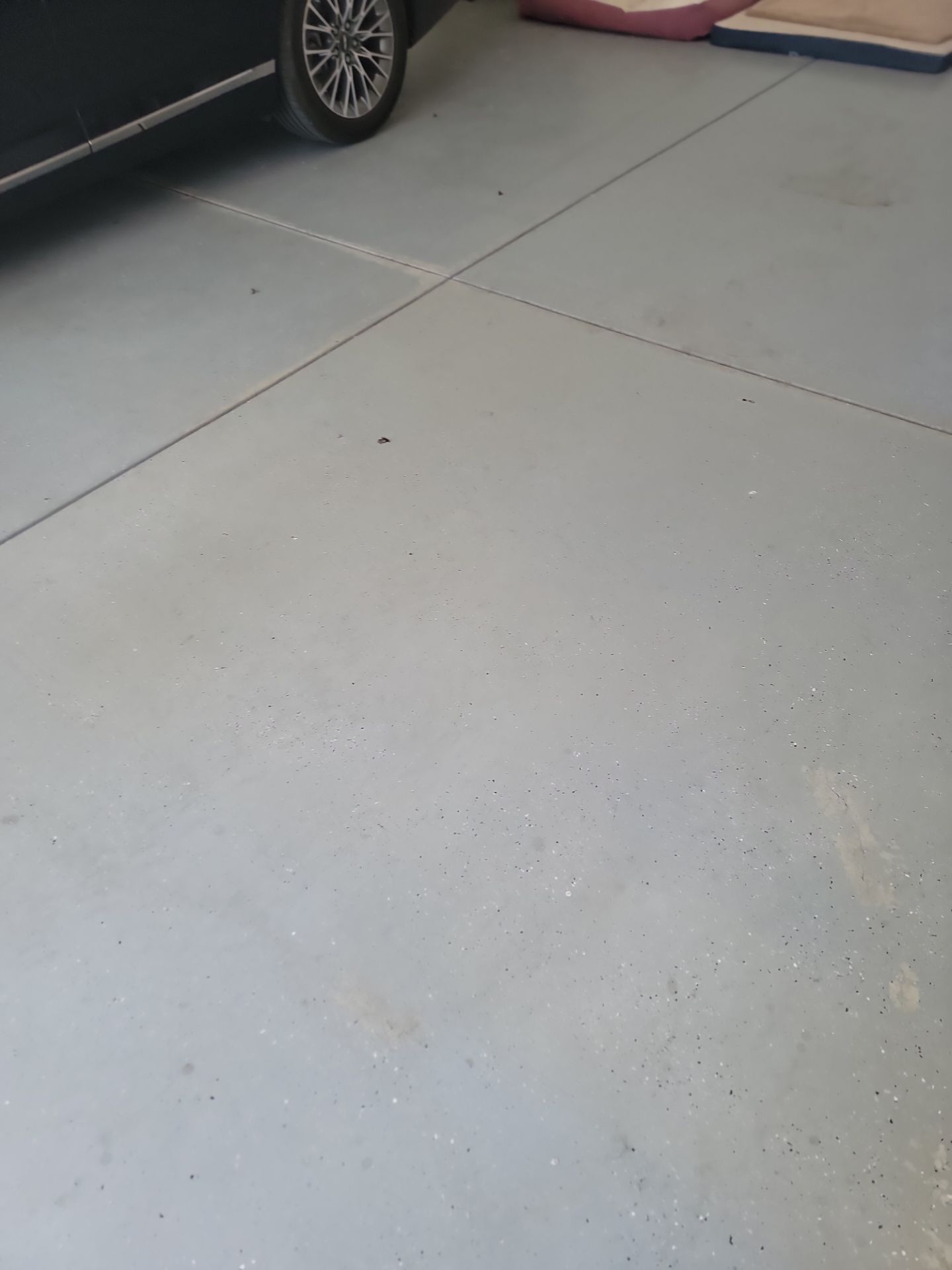 Stunning TransFLOORmation by Matt Gifford Painting LLC