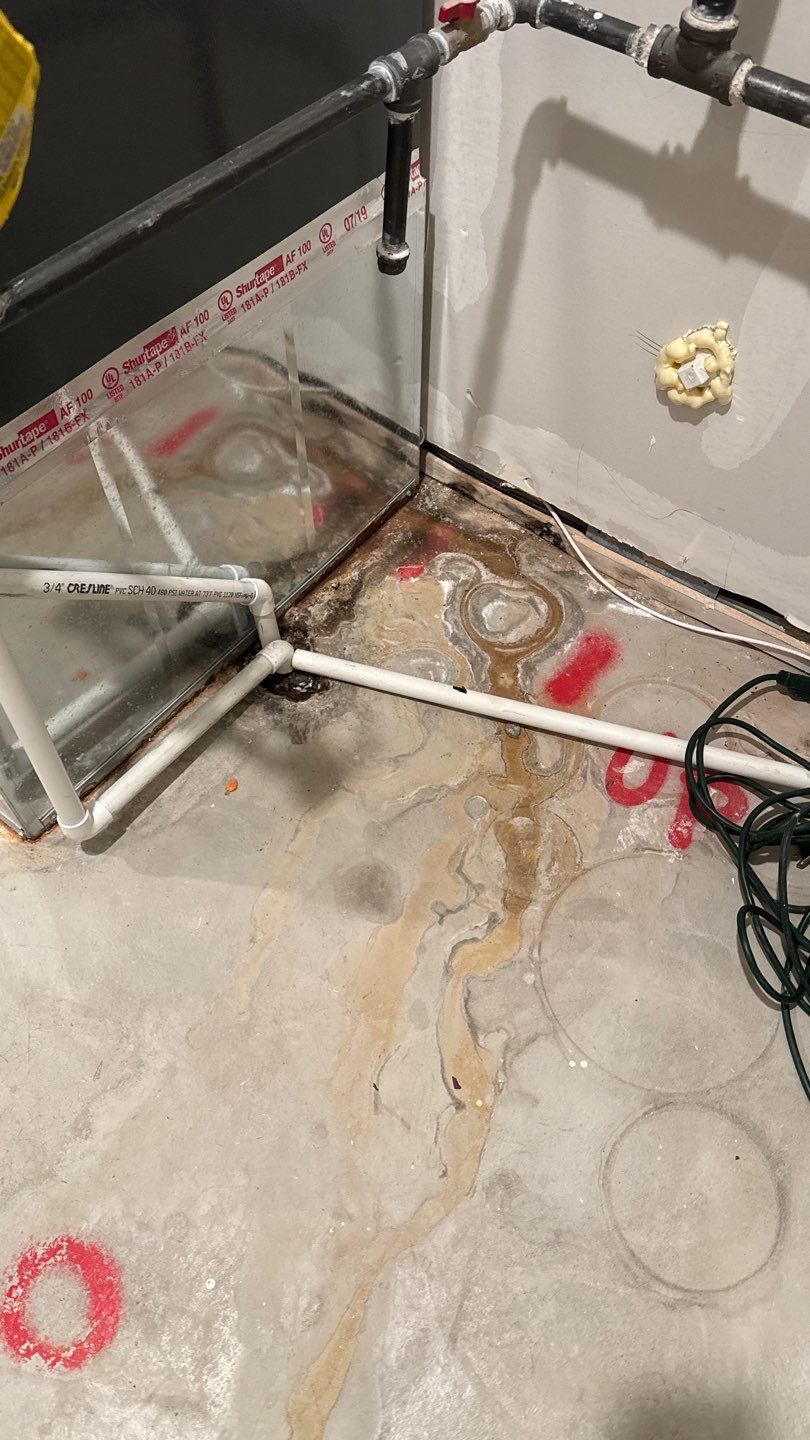 Mold Damage Project in Denver by Accountable Home Services