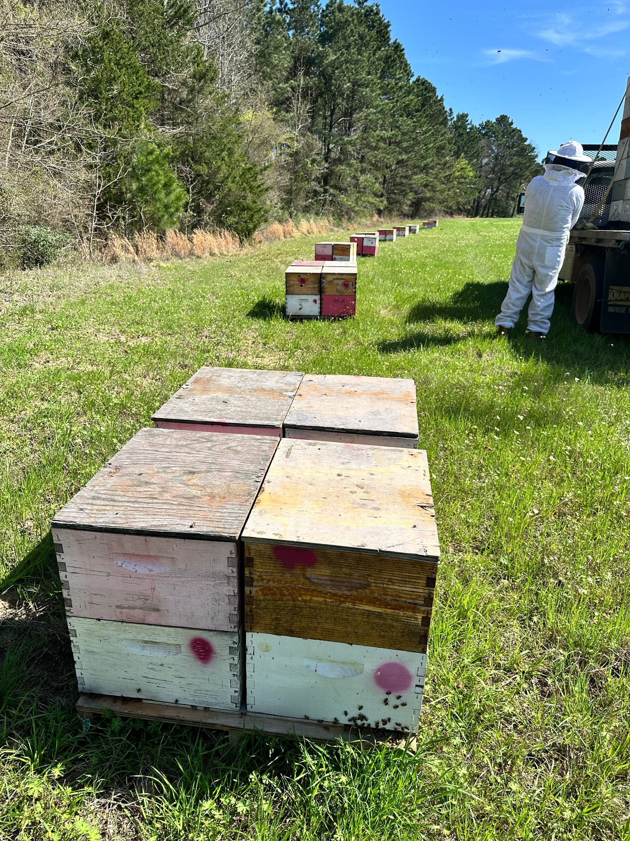 W Family Apiary by Rockwall Honey Bee Company