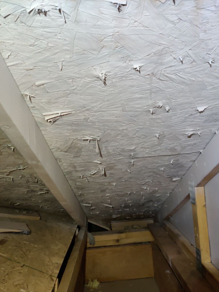 Mold Remediation Cleanup in Attic by Accountable Home Services