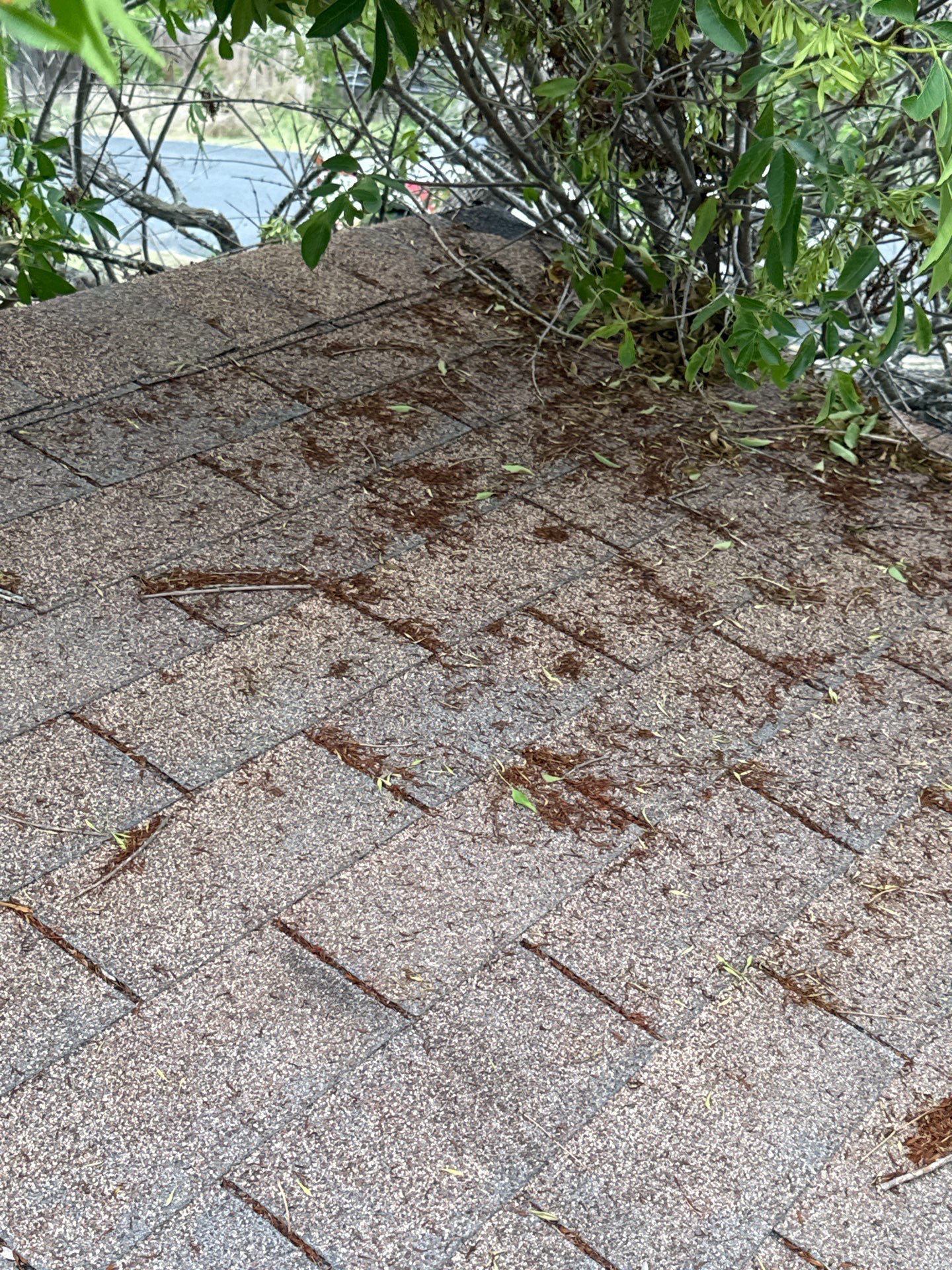 Residential Roof Replacement using TAMKO - Titan XT - Mountain Slate by Action Exteriors Austin