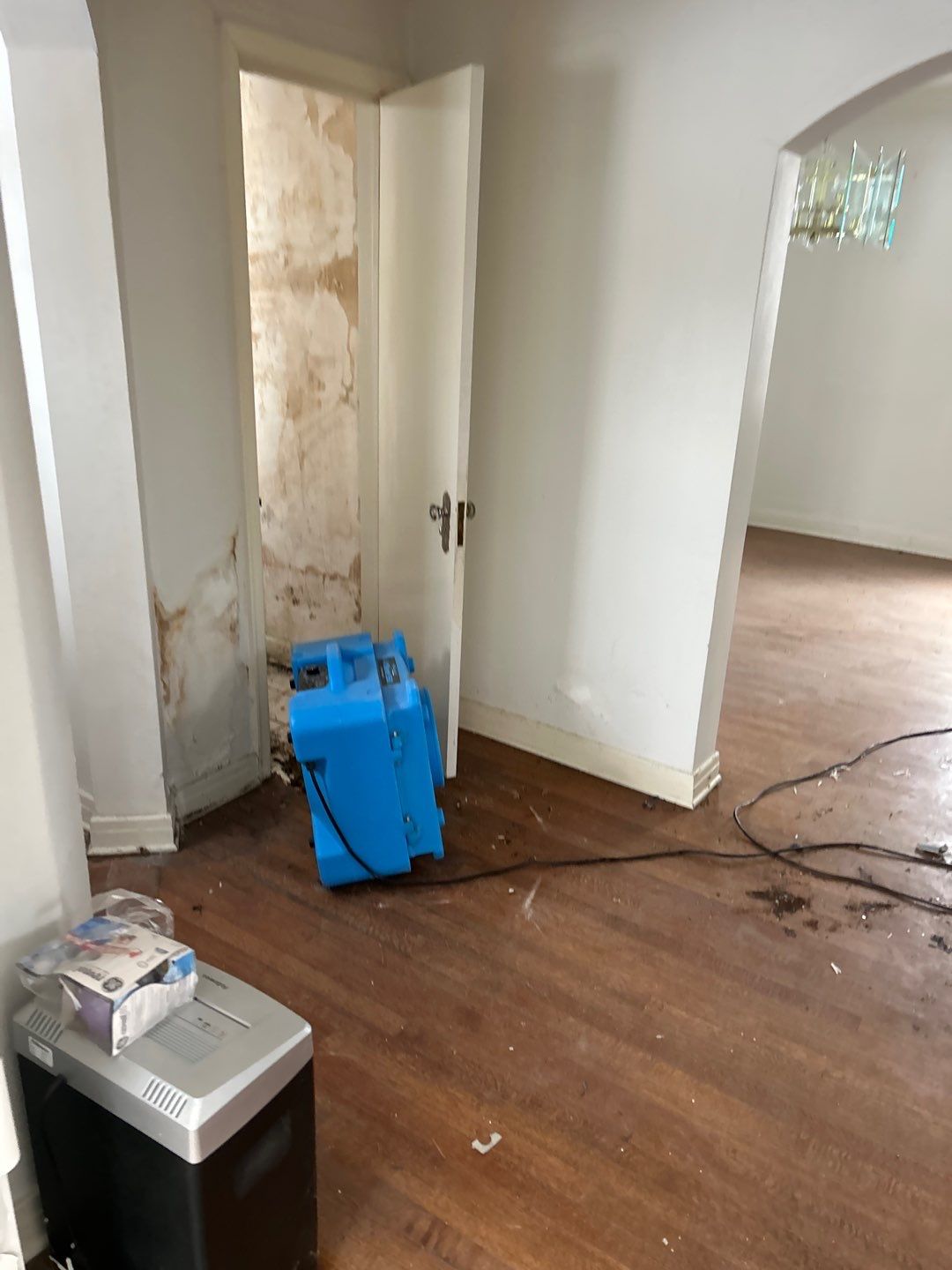 Mold Remediation by Accountable Home Services