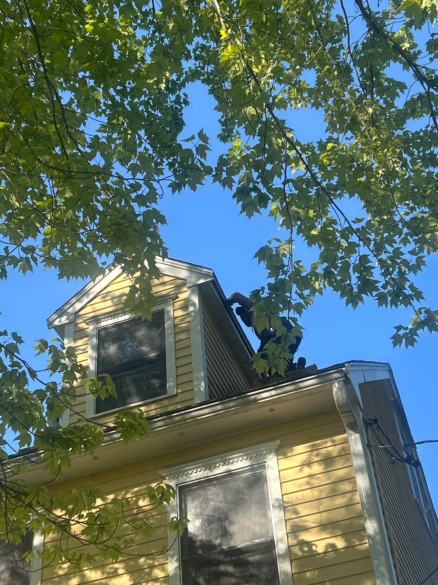 Siding | Dunstable by Mighty Dog Roofing of Greater Middlesex County