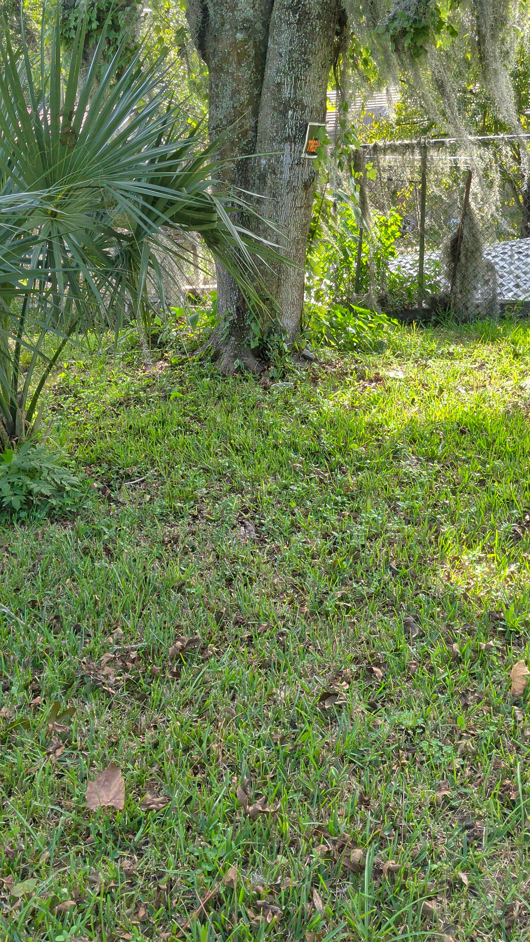 Vacant Lot Cleanup & Ongoing Maintenance — Northside Jacksonville (32219) by Harmoni Home Services