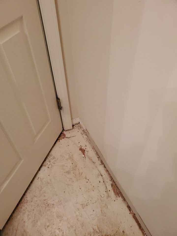 From Flooded to Flawless: A Holly Springs Bathroom Restoration by Elite Remodeling and Design LLC